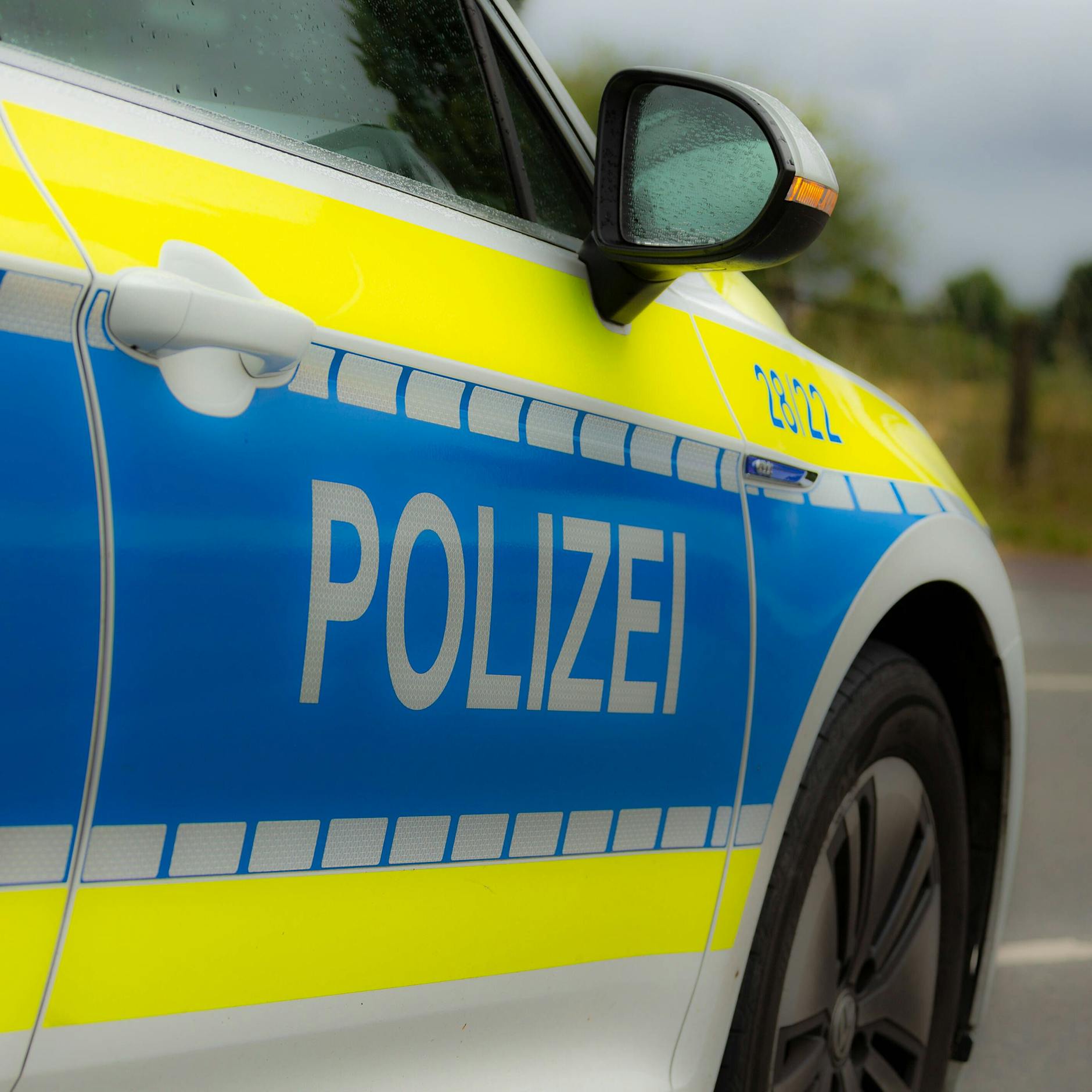 Polizisten überfahren eine Katze – mit Absicht! DAS ist der absurde Grund