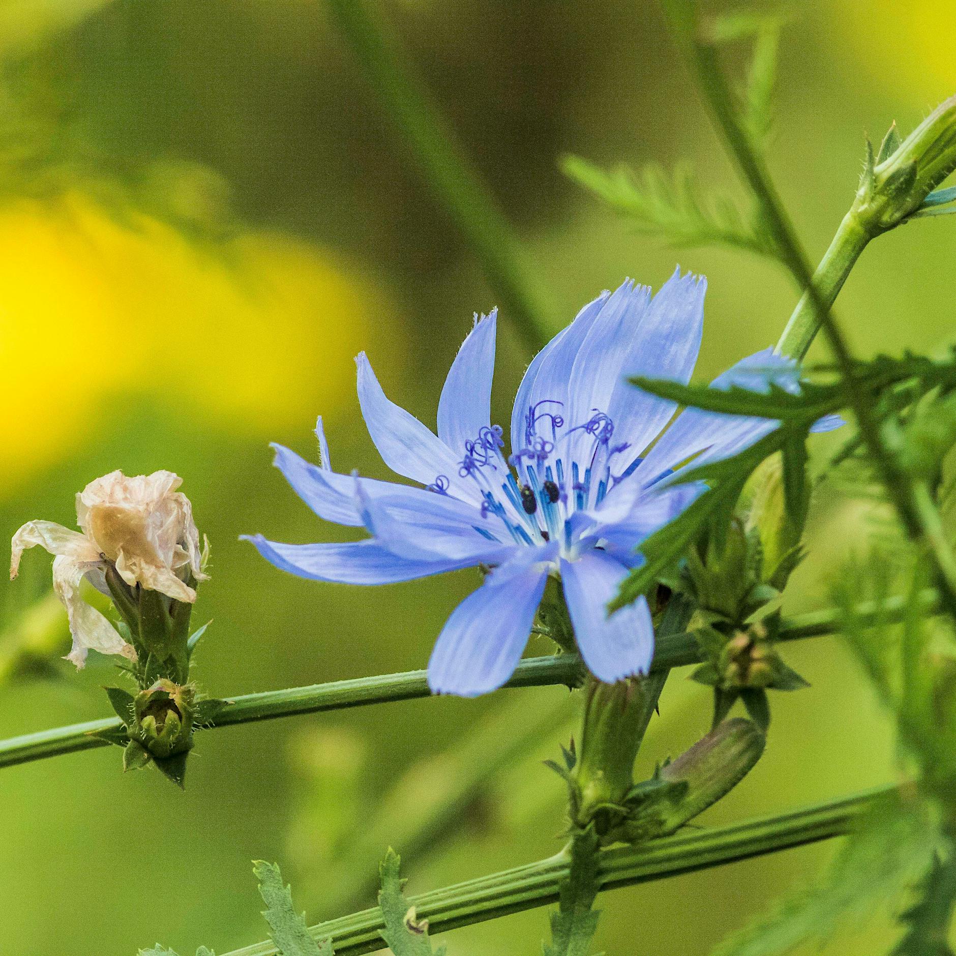 Es gibt Zufälle im Alltag, die sind einfach unglaublich