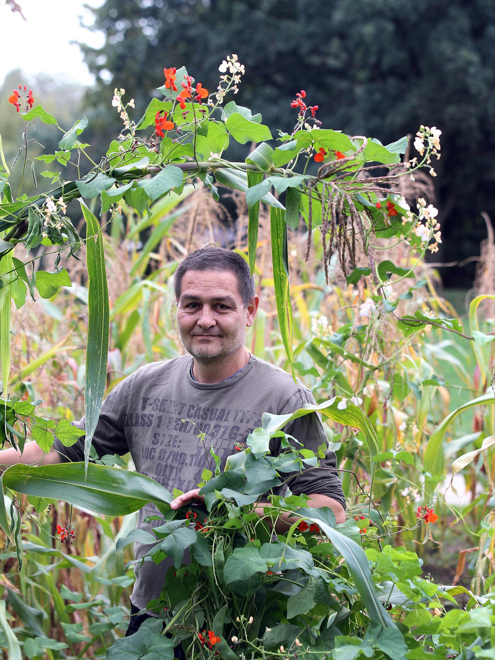 Wie geht es weiter mit dem Botanischen Volkspark Pankow? Ekkehard Spiegel ist für den Weltacker verantwortlich. 