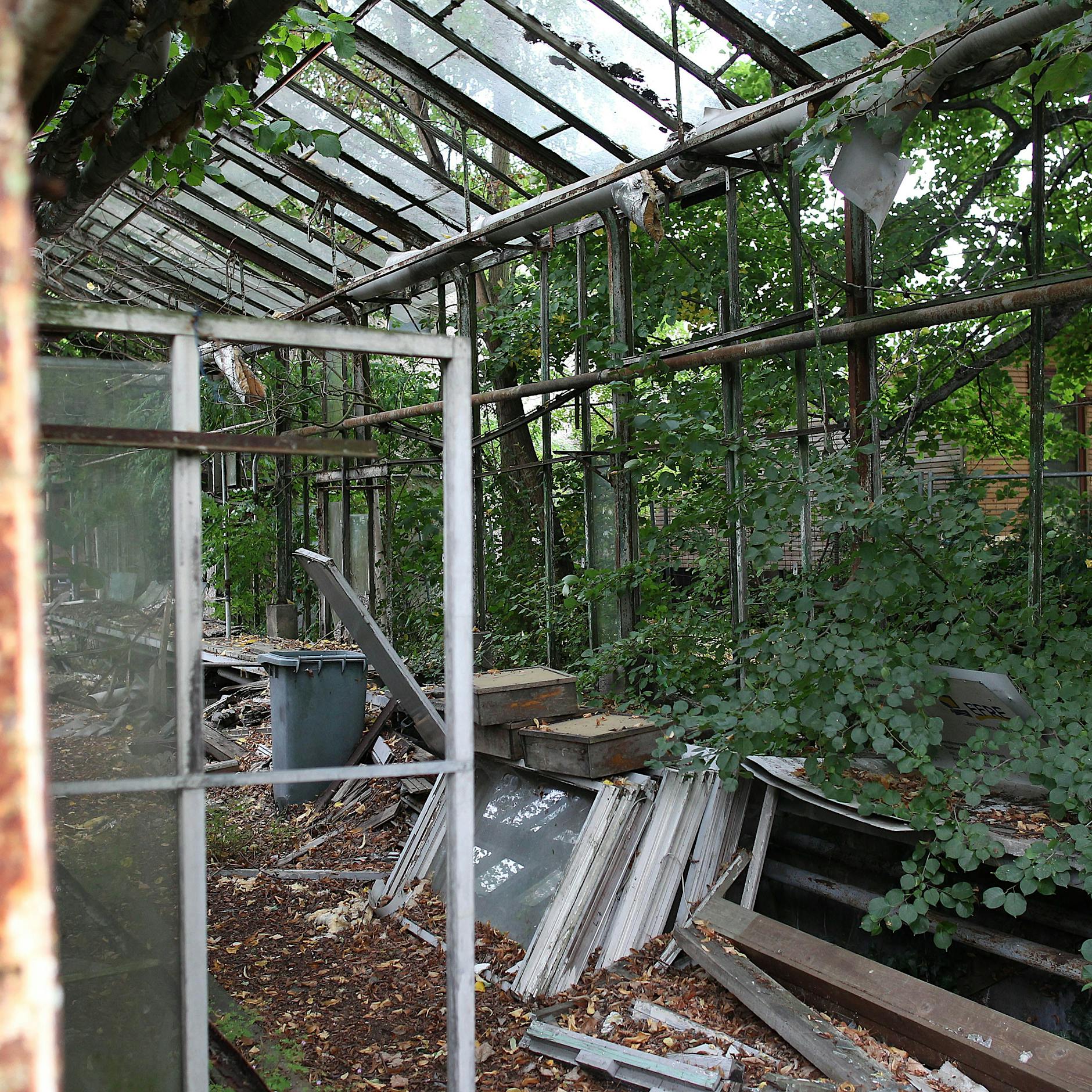 Wie geht es weiter mit dem Botanischen Volkspark in Pankow?