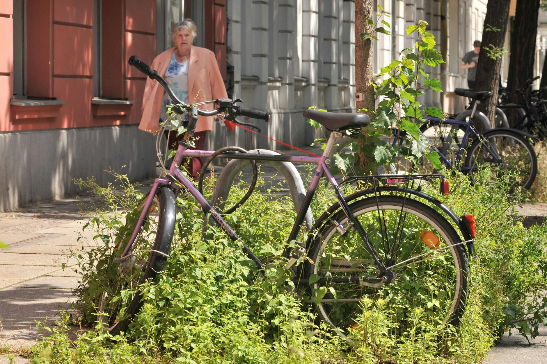 Unerwünschtes Grünzeug am Wegesrand