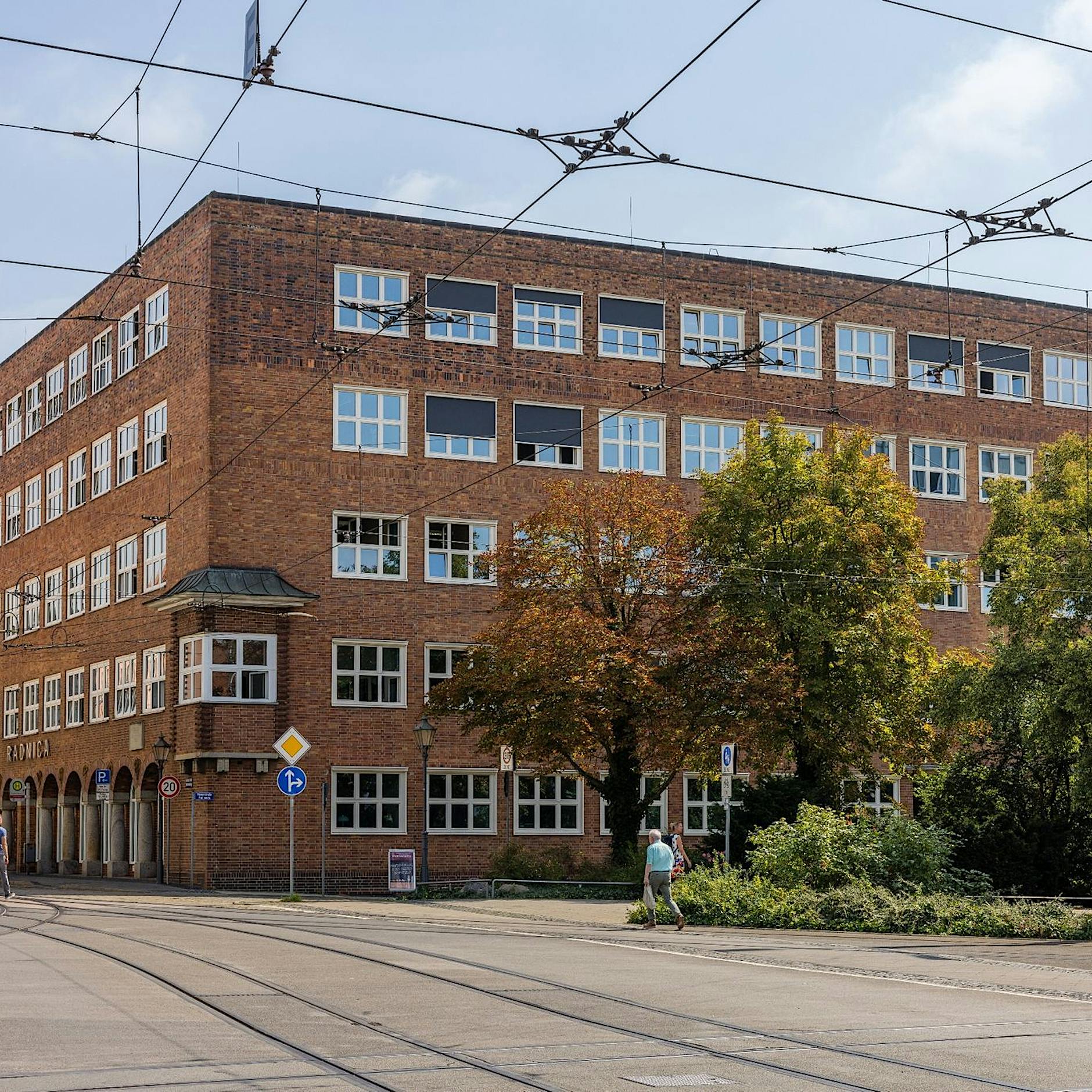 Wahlerfolg der AfD in Cottbus? Das könnte der Partei sogar schaden