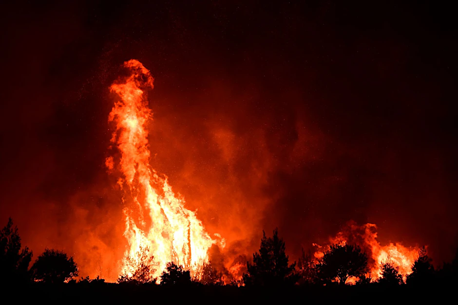 ARCHIV - Flammen verbrennen einen Wald in der Nähe des Dorfes Galatsona auf der Insel Euböa, etwa 188 Kilometer nördlich von Athen.  
