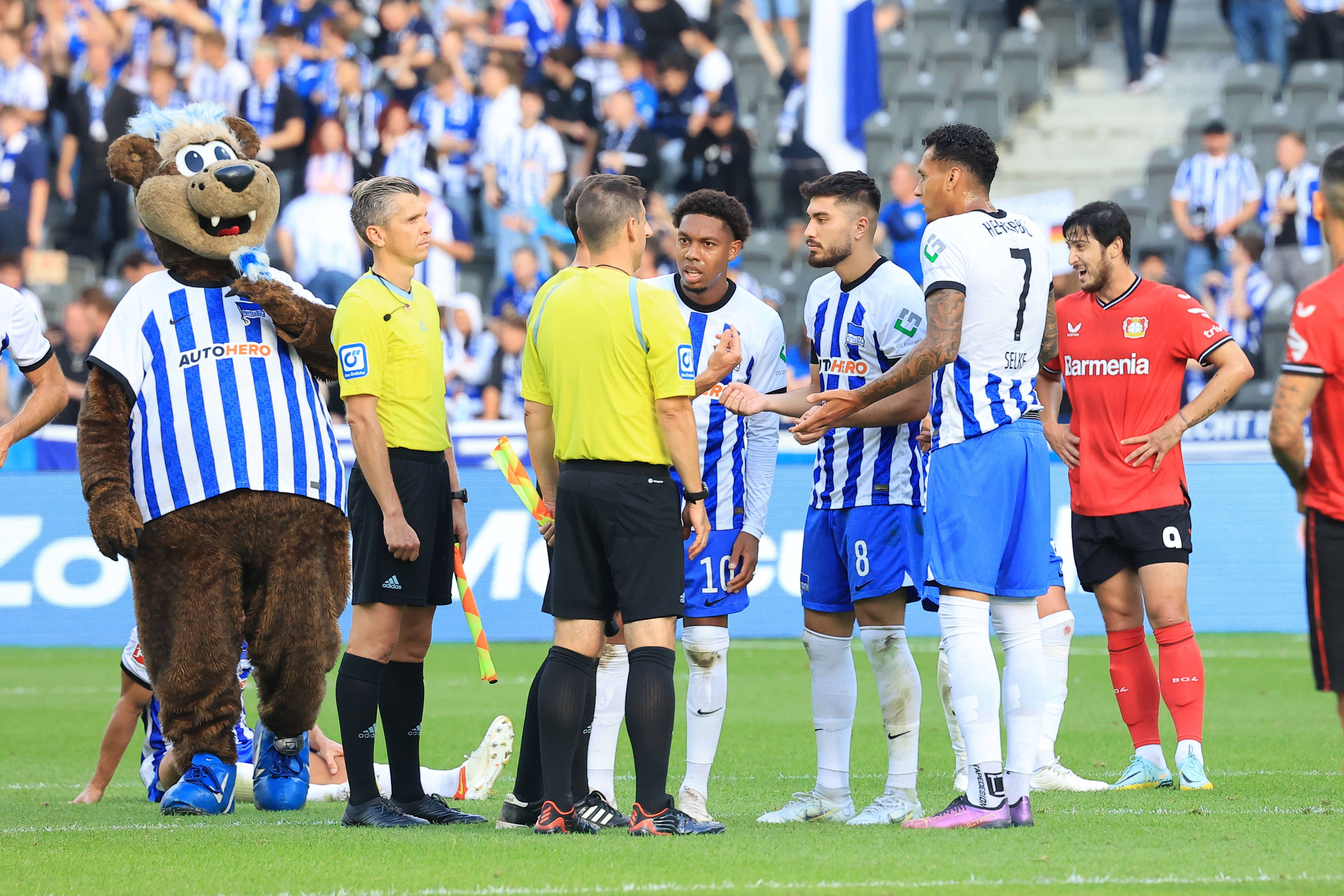 Handspiel oder nicht? Regel-Chaos sorgt bei Hertha BSC für verdammt viel Frust, Schiri Brand erklärt sich