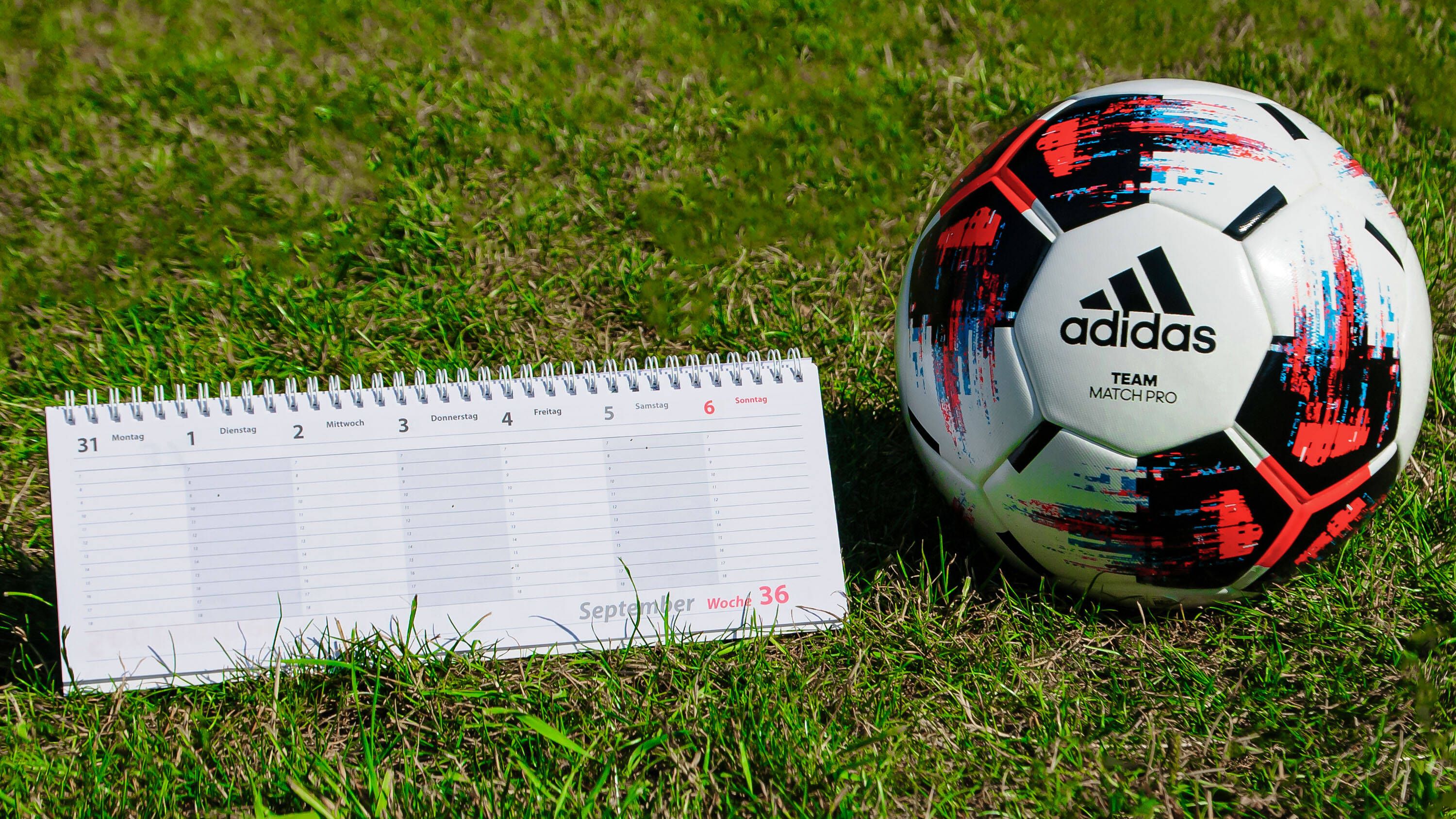 Fan-Wut beim 1. FC Union über die DFL und ihre Ansetzungen