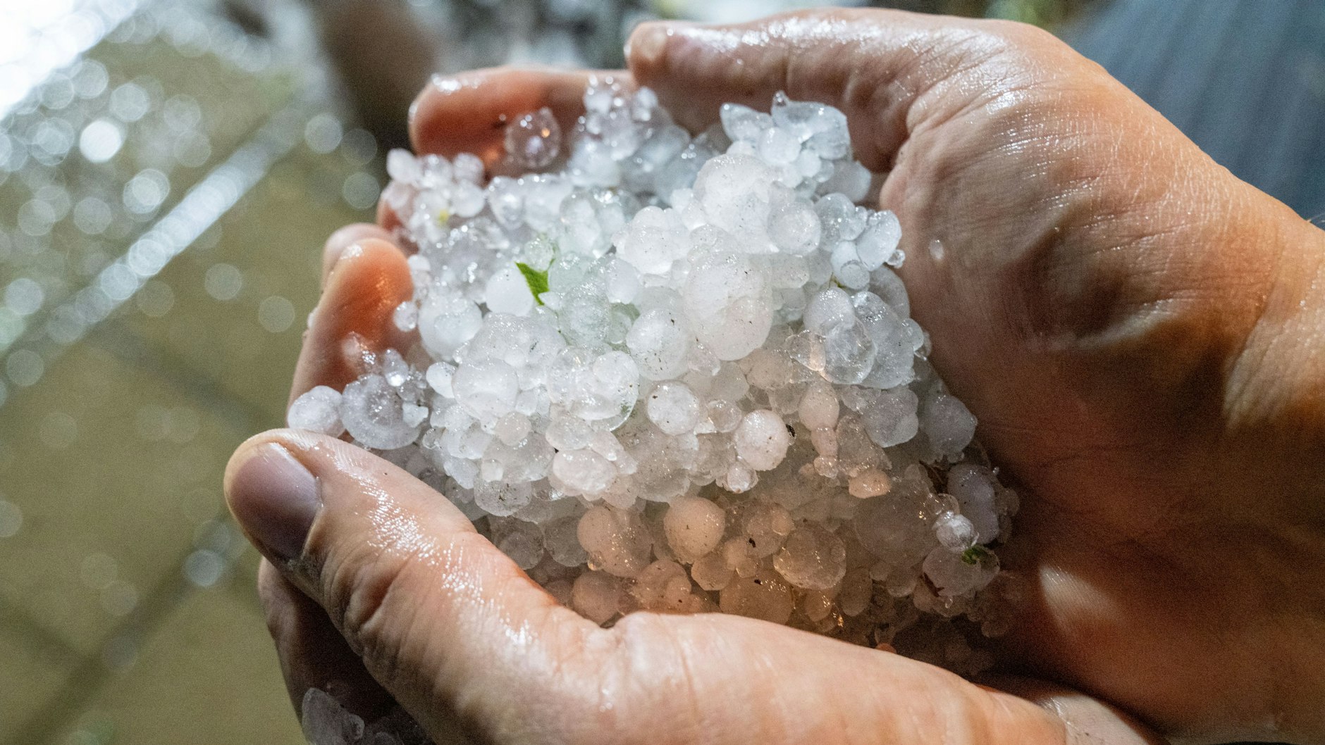 Eine riesige Menge Hagelkörner fiel hier vom Himmel. 