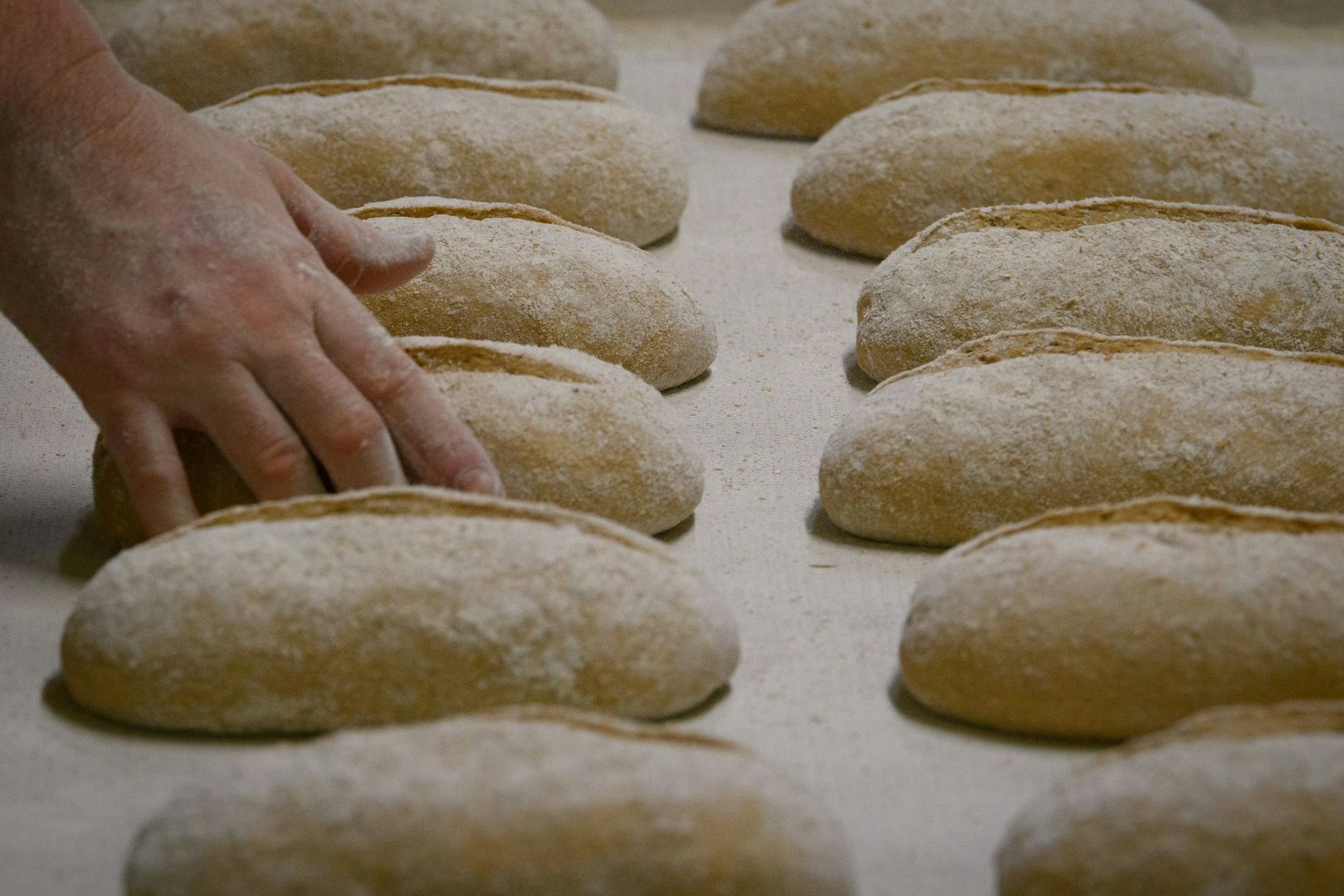 Brot-Teiglinge in einer Bäckerei: Einige Bäcker müssen ihr Sortiment verkleinern.