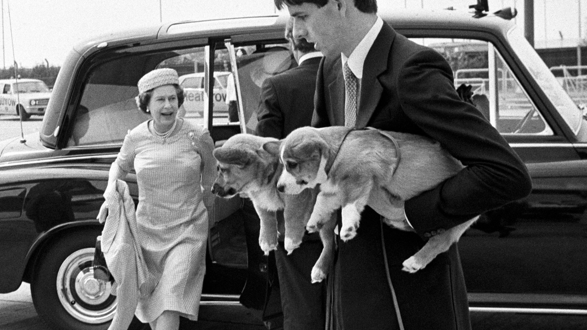 Königin Elizabeth II. und ihre Corgi-Welpen treffen im Mai 1981 am Flughafen Heathrow ein, um nach Aberdeen zum jährlichen Urlaub in Balmoral zu fliegen.