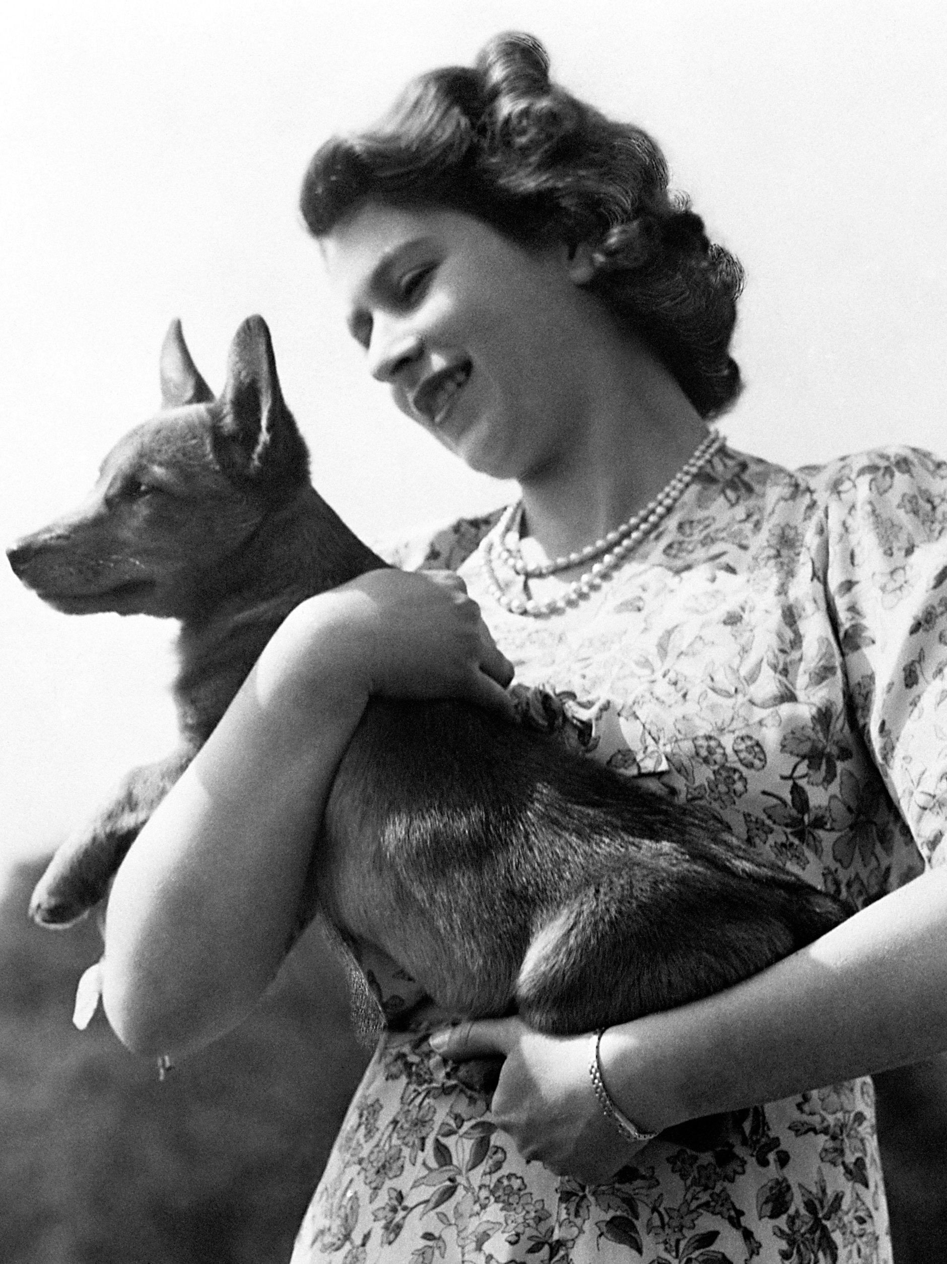 Ein Foto von 1950. Elizabeth, da noch&nbsp;Prinzessin, mit einem&nbsp;Corgi auf dem Arm.