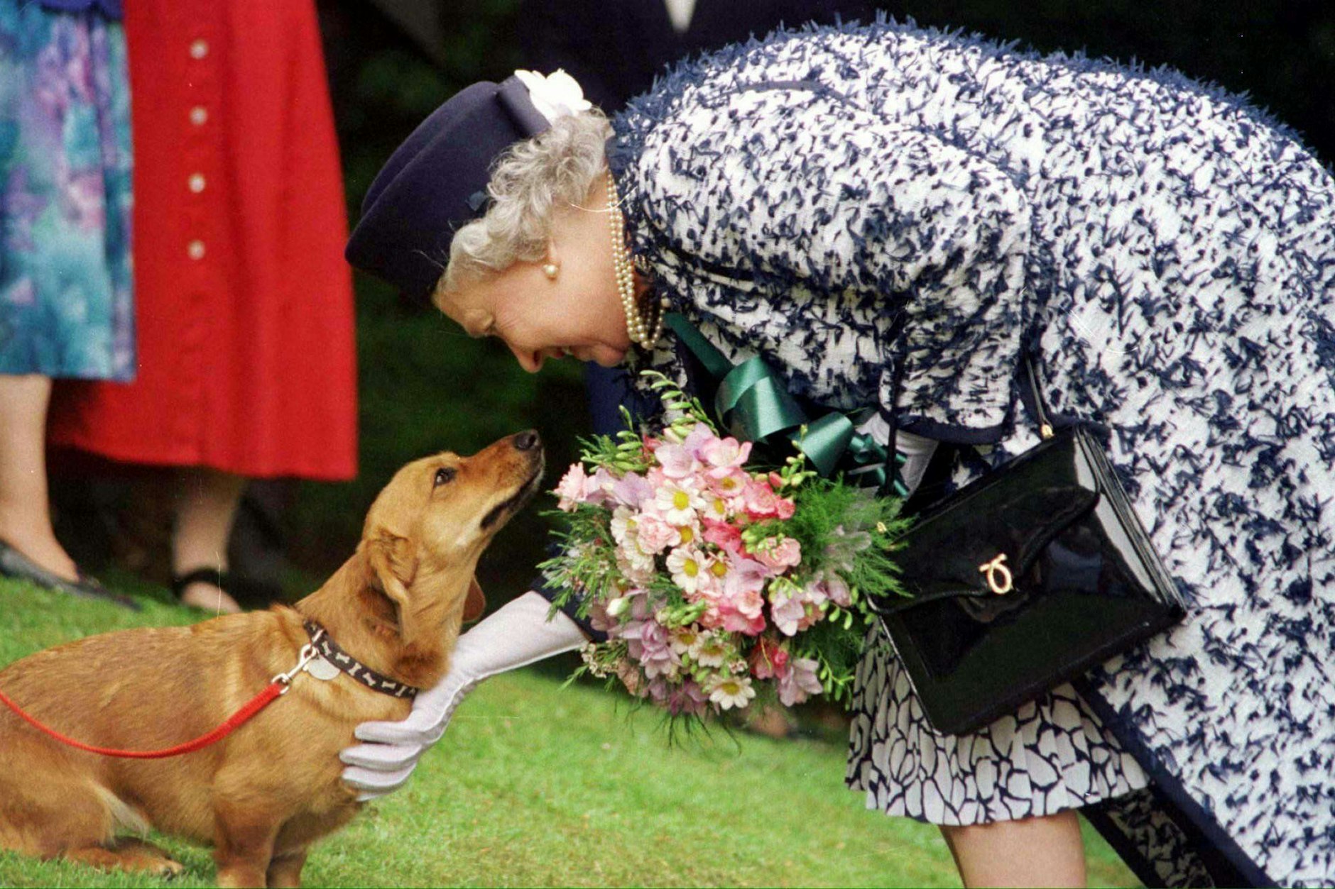 Königin Elizabeth II. von Großbritannien streichelt einen ihrer Corgi-Hunde. Eine Aufnahme von 1998.