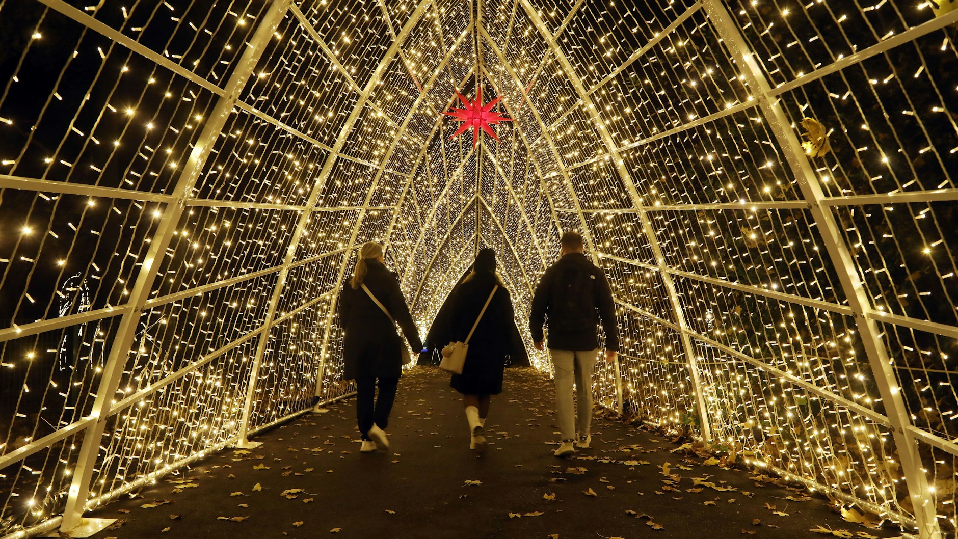 Dieser Lichterdom war eines der Highlights des Events „Weihnachten im Tierpark“.
