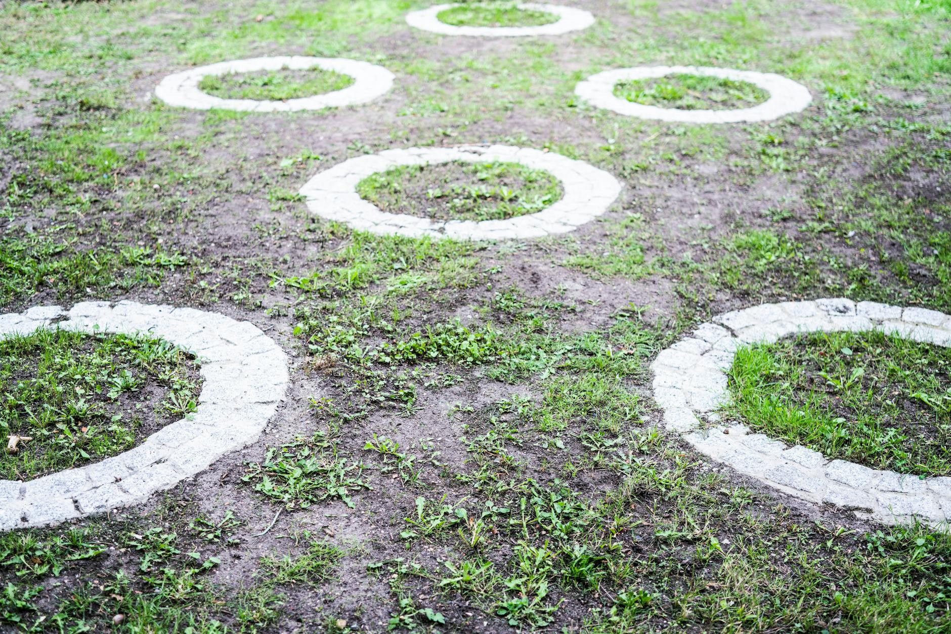 Spazierweg von Anne Sens: Sie lebt mit chronischem Krebs – und an der Armutsgrenze