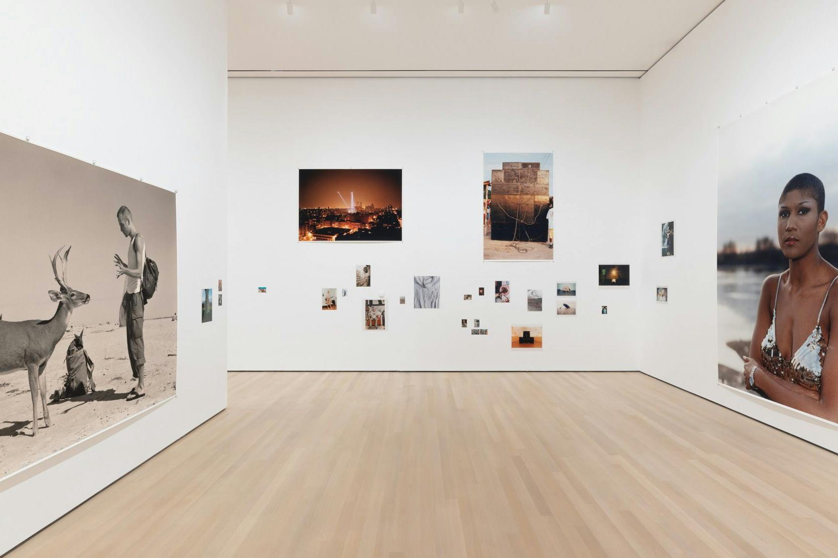 Einer der Ausstellungsräume der großen Tillmans-Show im MoMa. Links das Schwarzweiß-Foto mit Jochen Klein und dem Hirsch aus dem Jahr 1995.