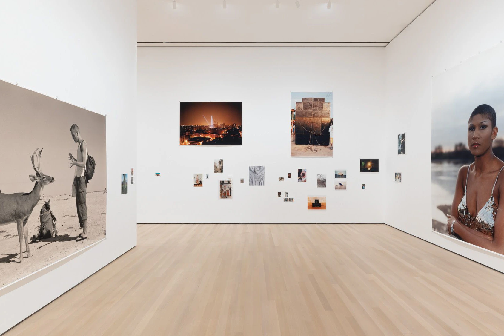 Einer der Ausstellungsräume der großen Tillmans-Show im MoMa. Links das Schwarzweiß-Foto mit Jochen Klein und dem Hirsch aus dem Jahr 1995.