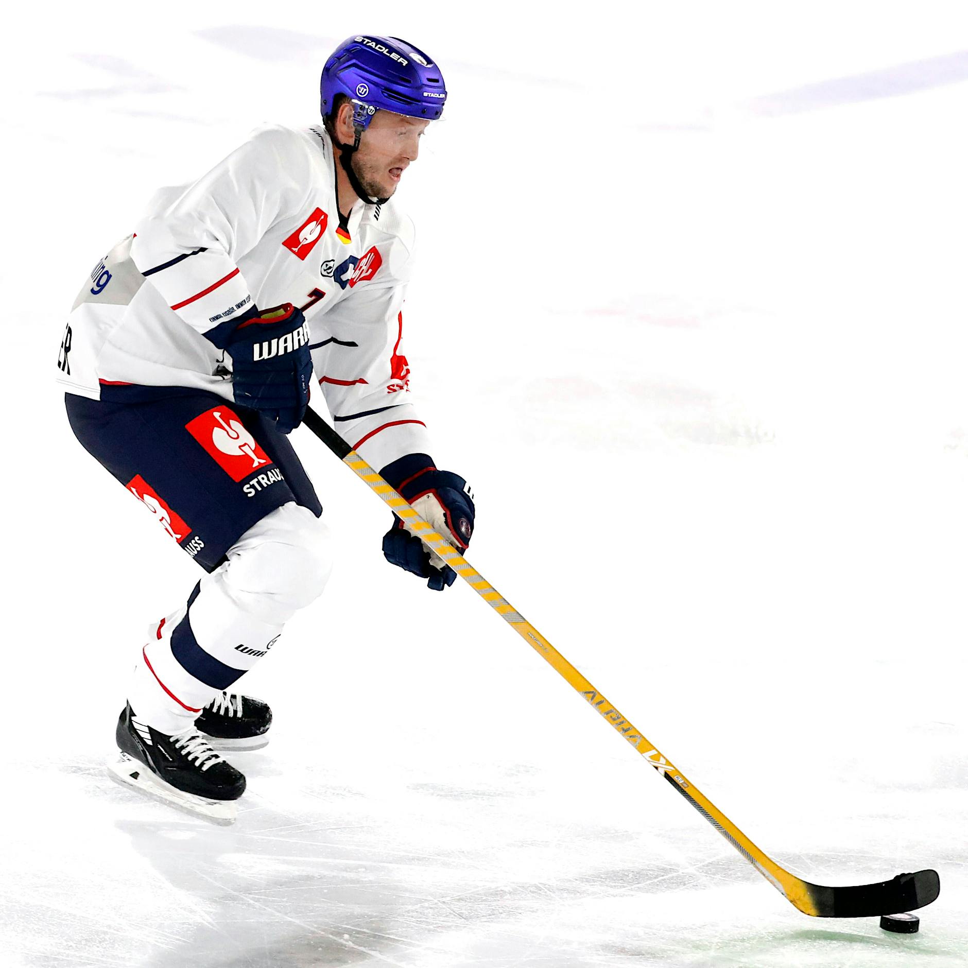 Geht es nach einer Statistik, können die Eisbären eigentlich nur Meister werden