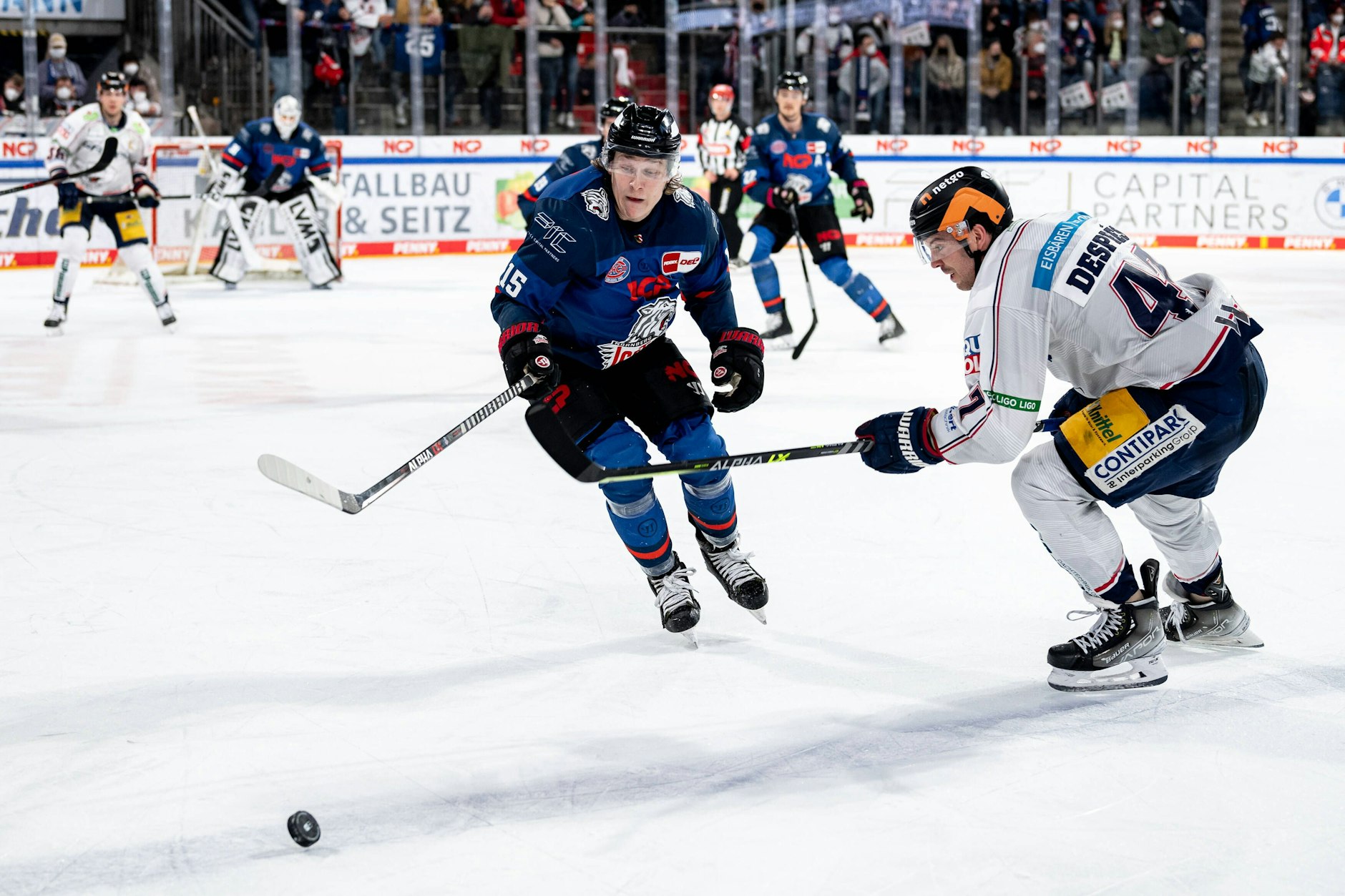Ex-Eisbär Charlie Jahnke (l). spielt mittlerweile für die Nürnberg Ice Tigers. Wahrlich nicht das einzige EHC-Wiedersehen in dieser Saison.