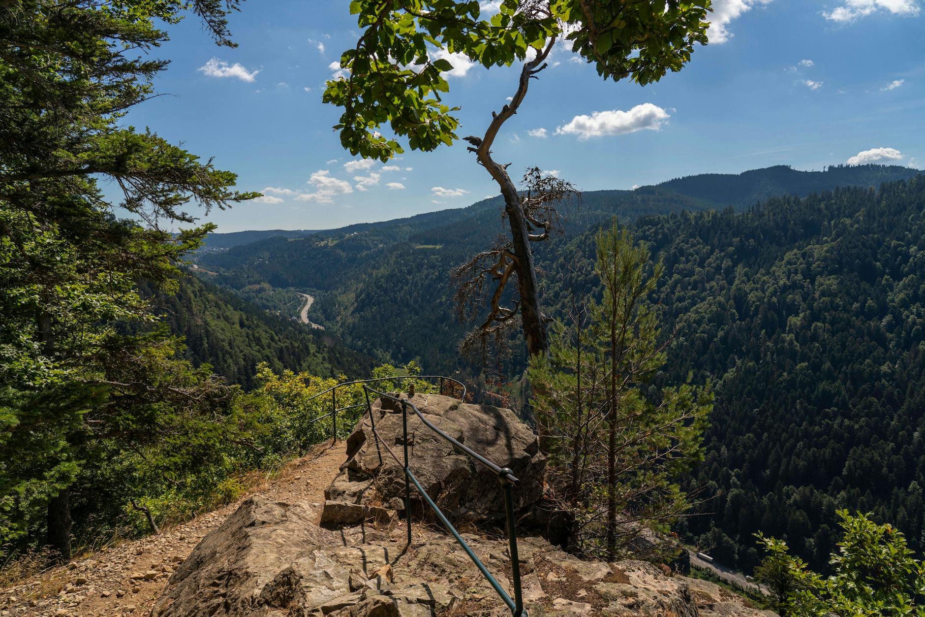 <a target="_blank" href="https://www.berliner-zeitung.de/gesundheit-oekologie/darum-ist-wandern-so-gut-fuer-uns-li.140510">Beim Wandern machen wir vielfältige neue Erfahrungen</a>.