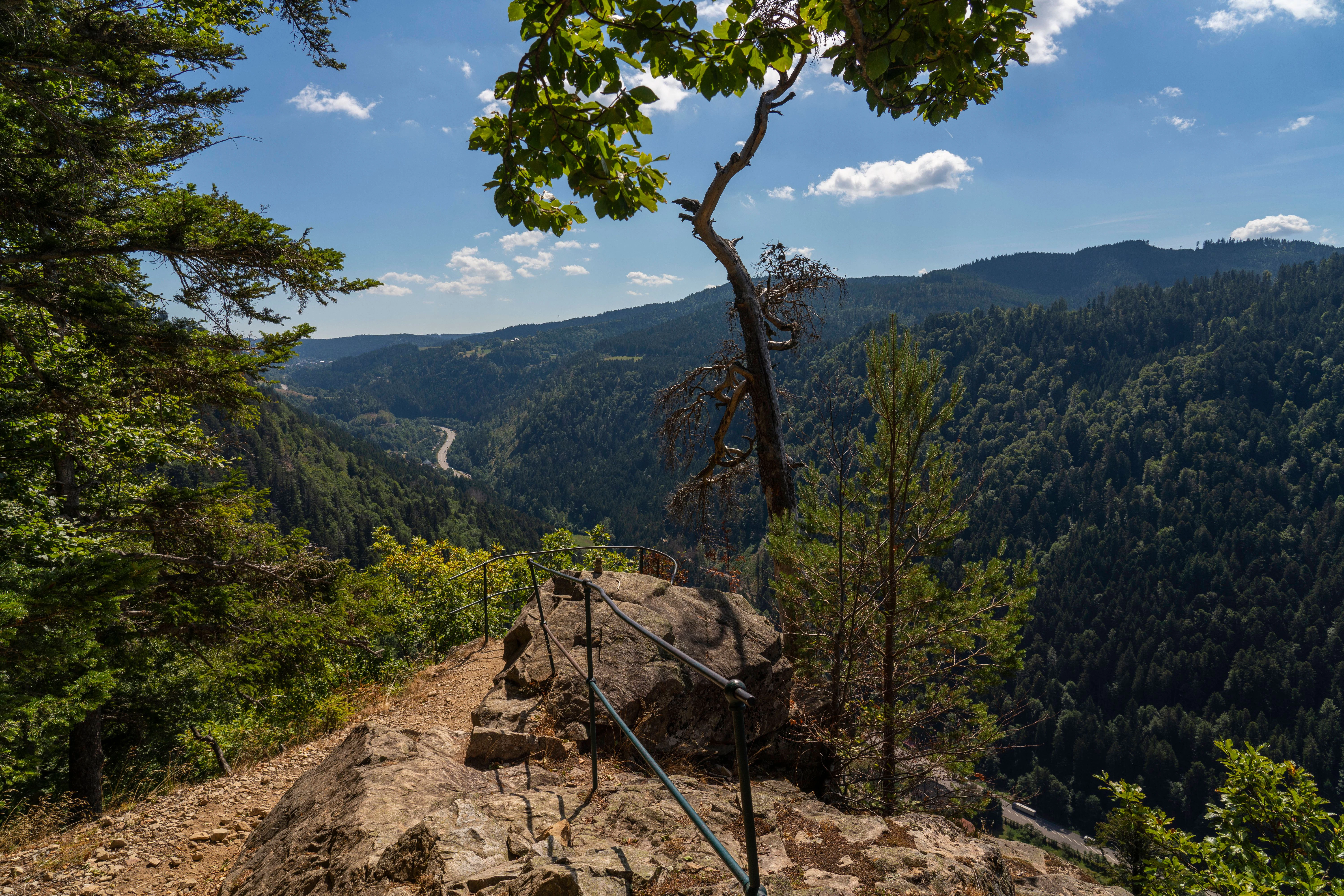 <a target="_blank" href="https://www.berliner-zeitung.de/gesundheit-oekologie/darum-ist-wandern-so-gut-fuer-uns-li.140510">Beim Wandern machen wir vielfältige neue Erfahrungen</a>.