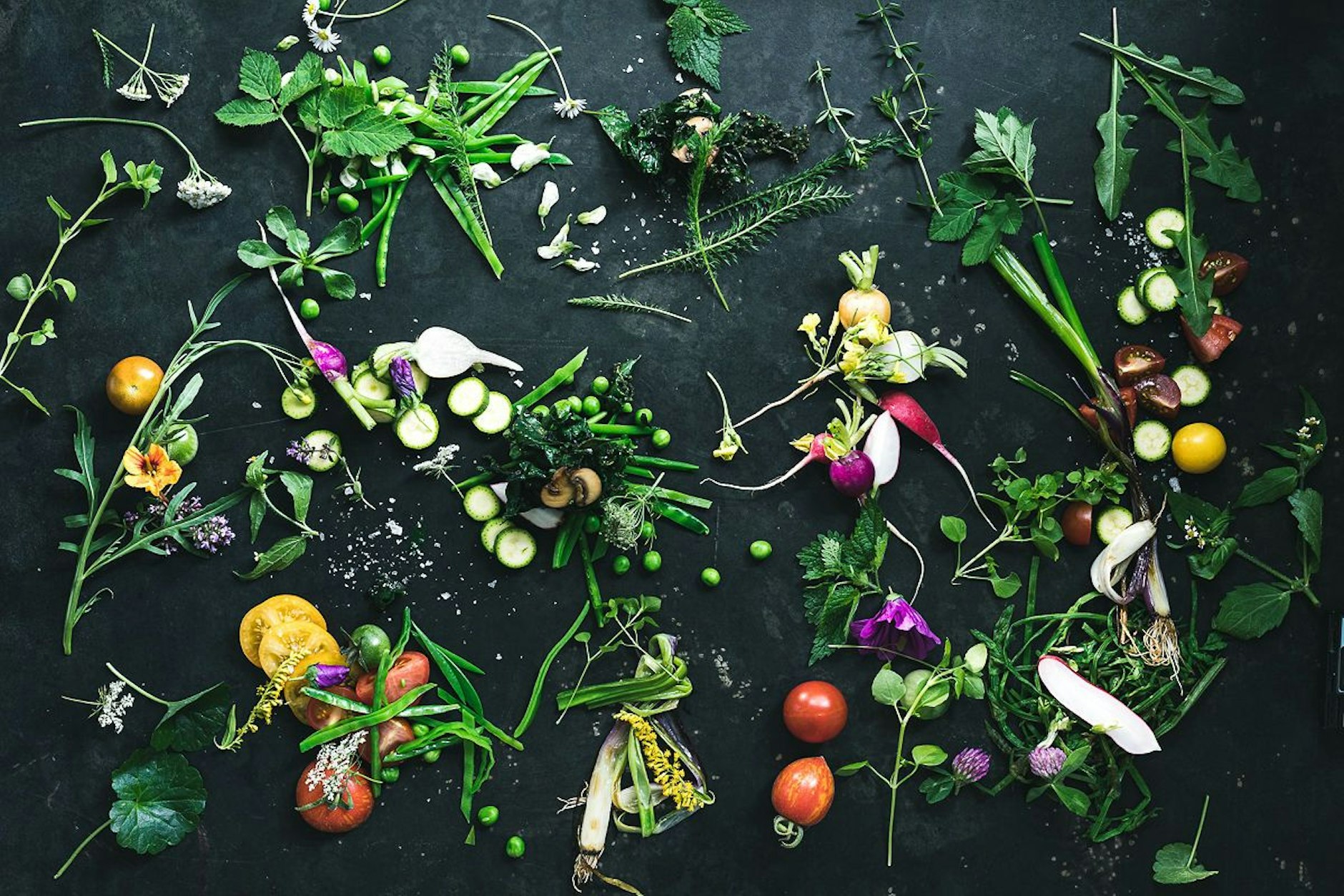 Der wilde Garten: Vieles davon wächst in Berlin direkt vor der Haustür.