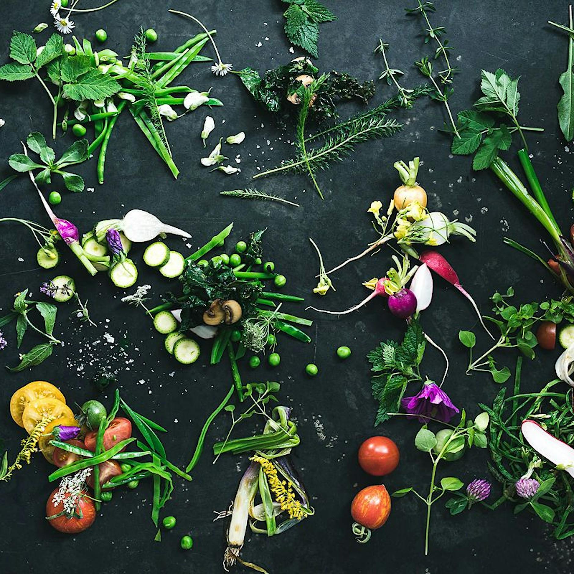 Grünes Wunder: Wo man in Berlin Wildkräuter ernten kann – und wie man sie findet