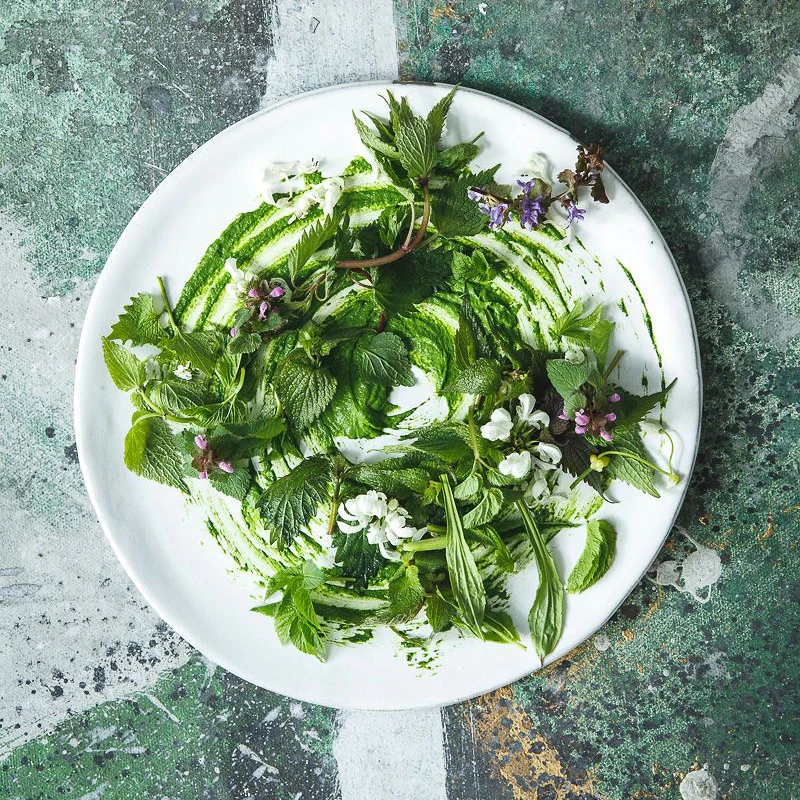 Aus Wildkräutern kann man Salate und Pesto zaubern.