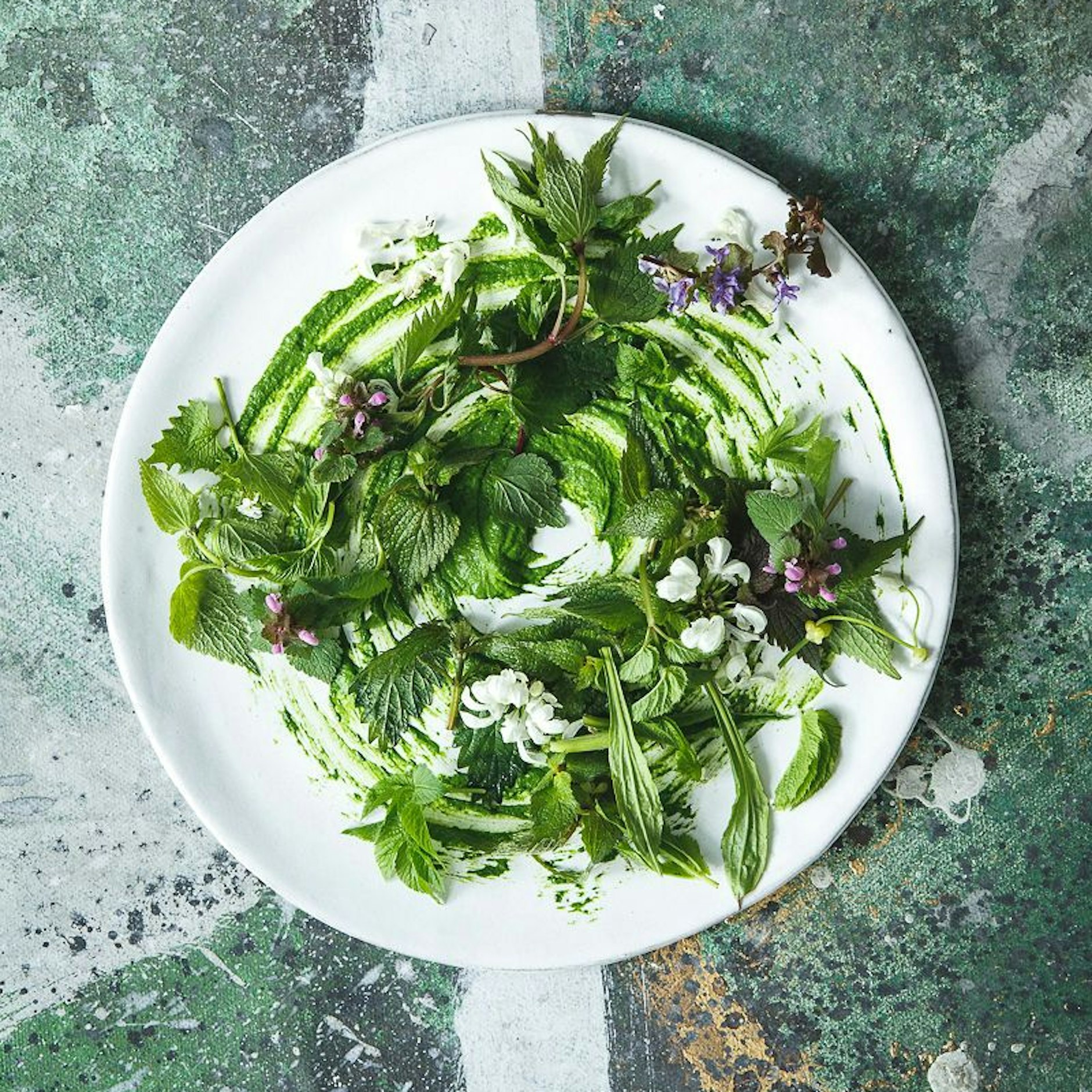 Aus Wildkräutern kann man Salate und Pesto zaubern.