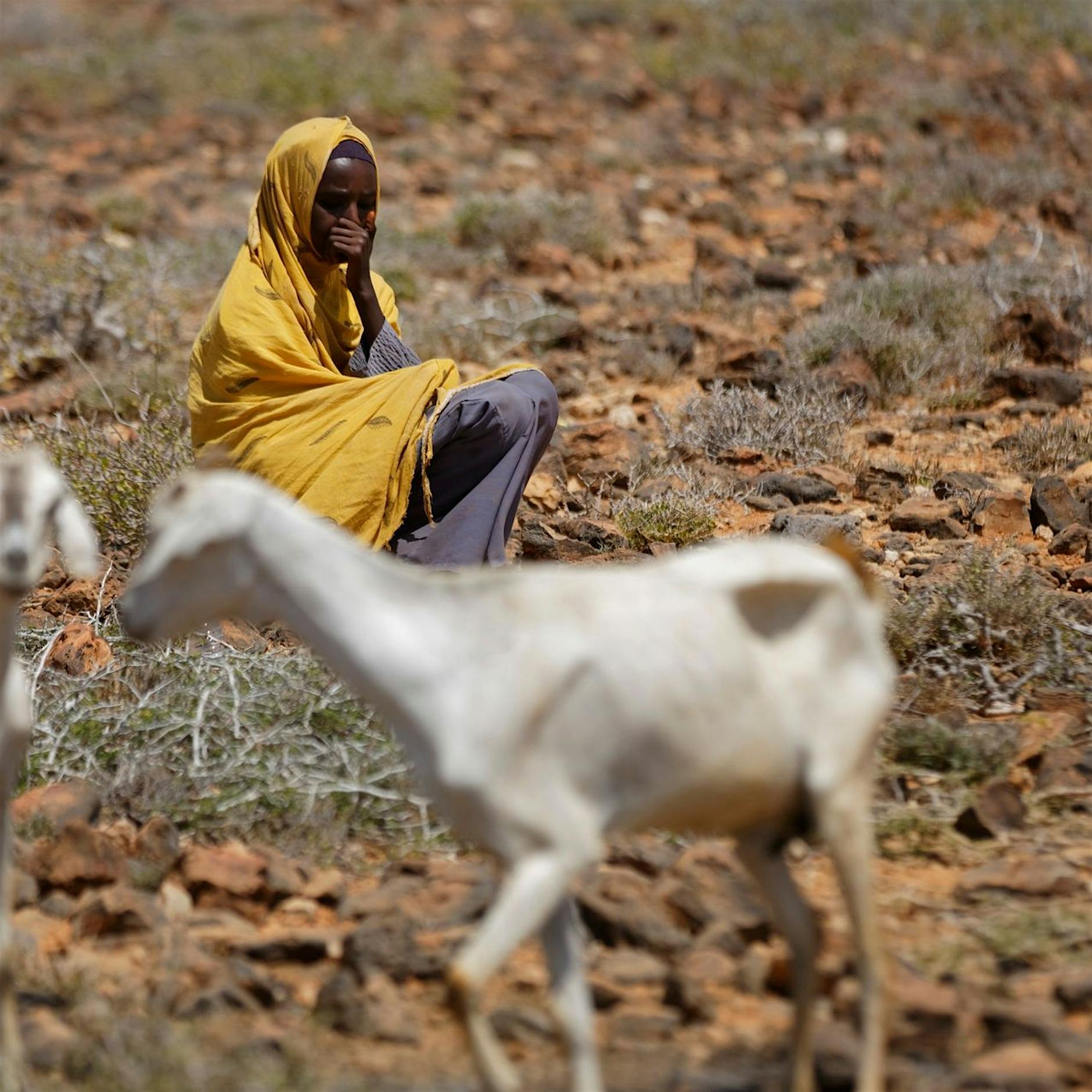 Oxfam: Hungersnöte in Klima-Krisenherden mehr als verdoppelt