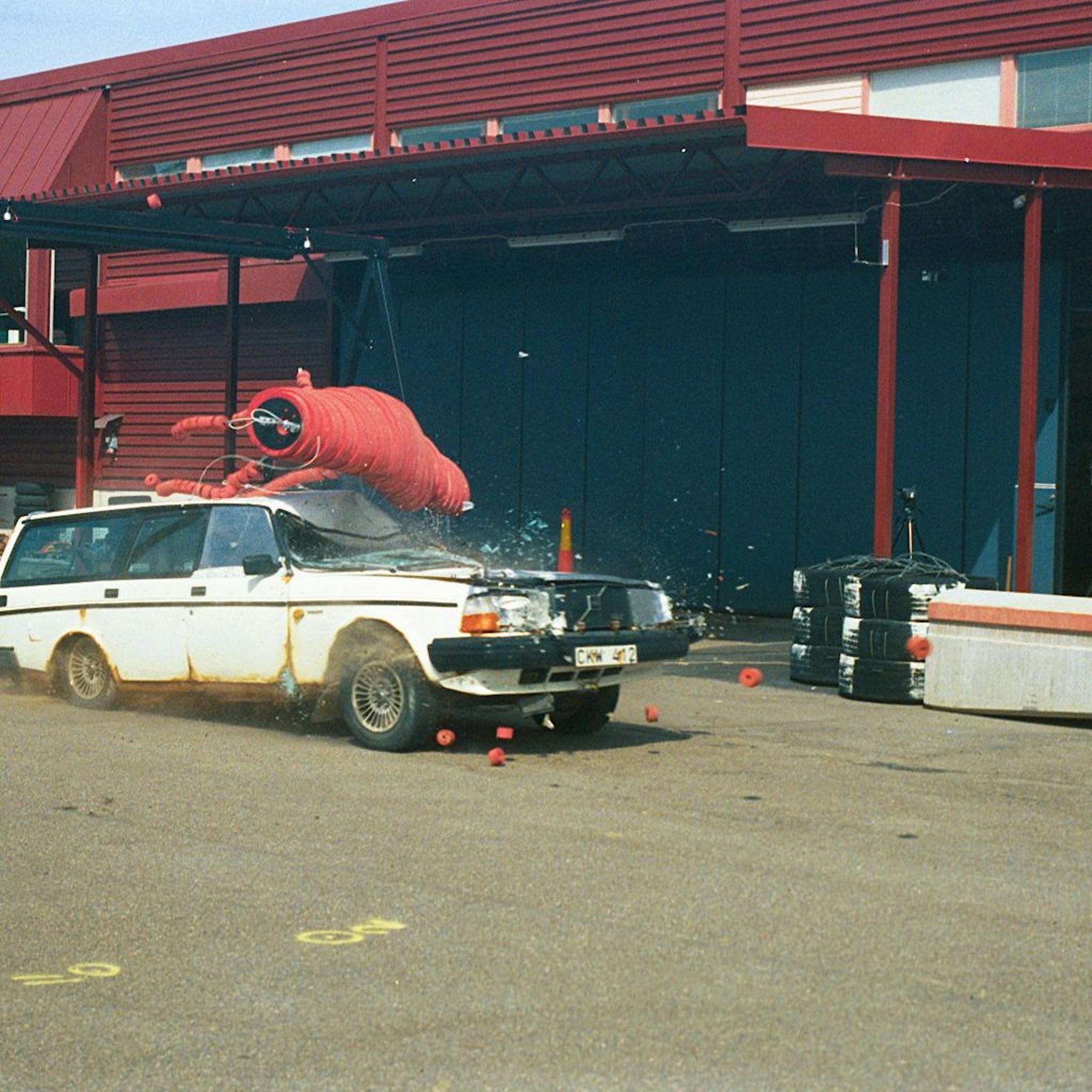 Verstopfte Skorpione und Enten in Formation: Die Gewinner des Ig-Nobelpreises