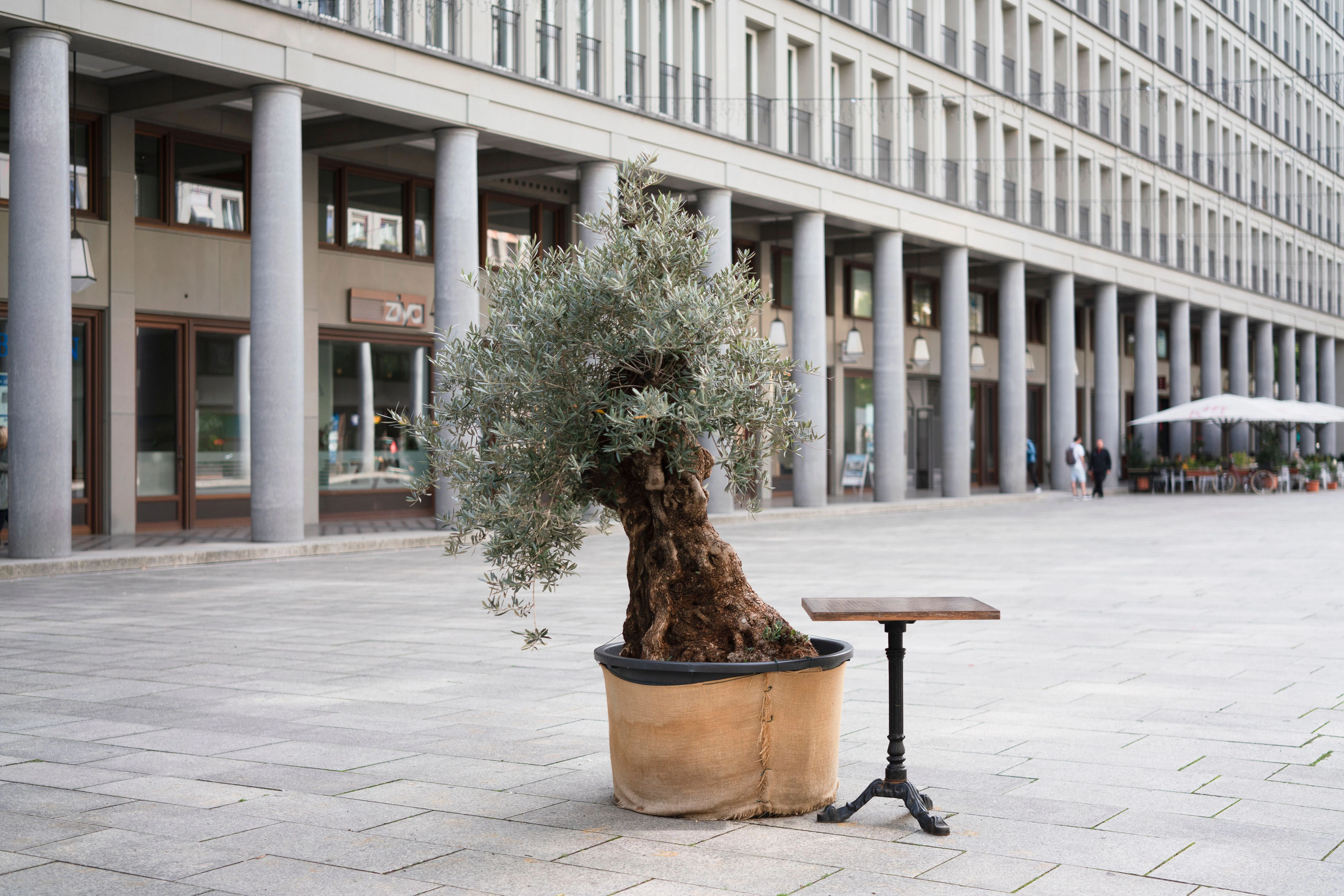 Der Walter-Benjamin-Platz