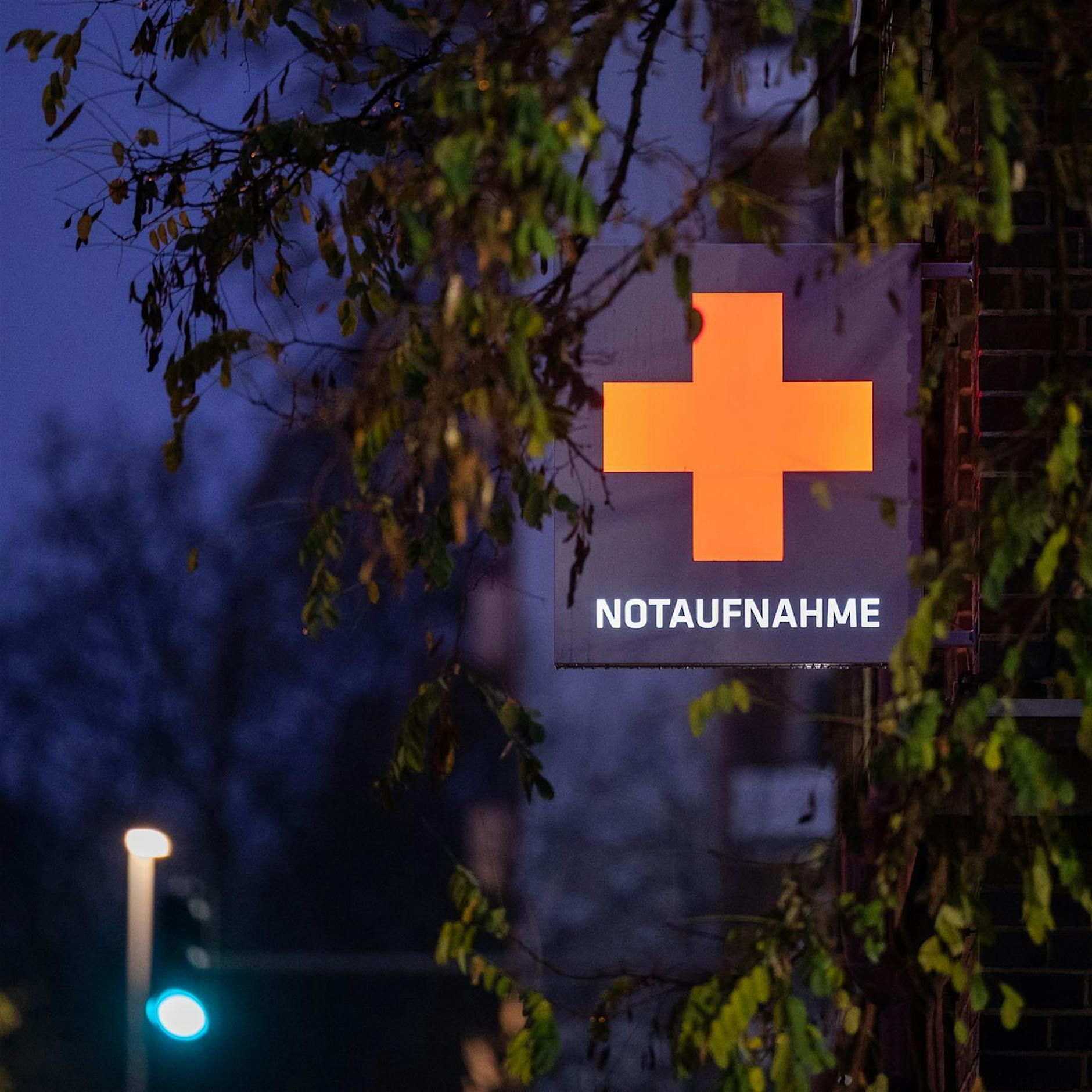 Image - Infektionsschutzgesetz: Klinikkritik an neuen Daten-Regeln