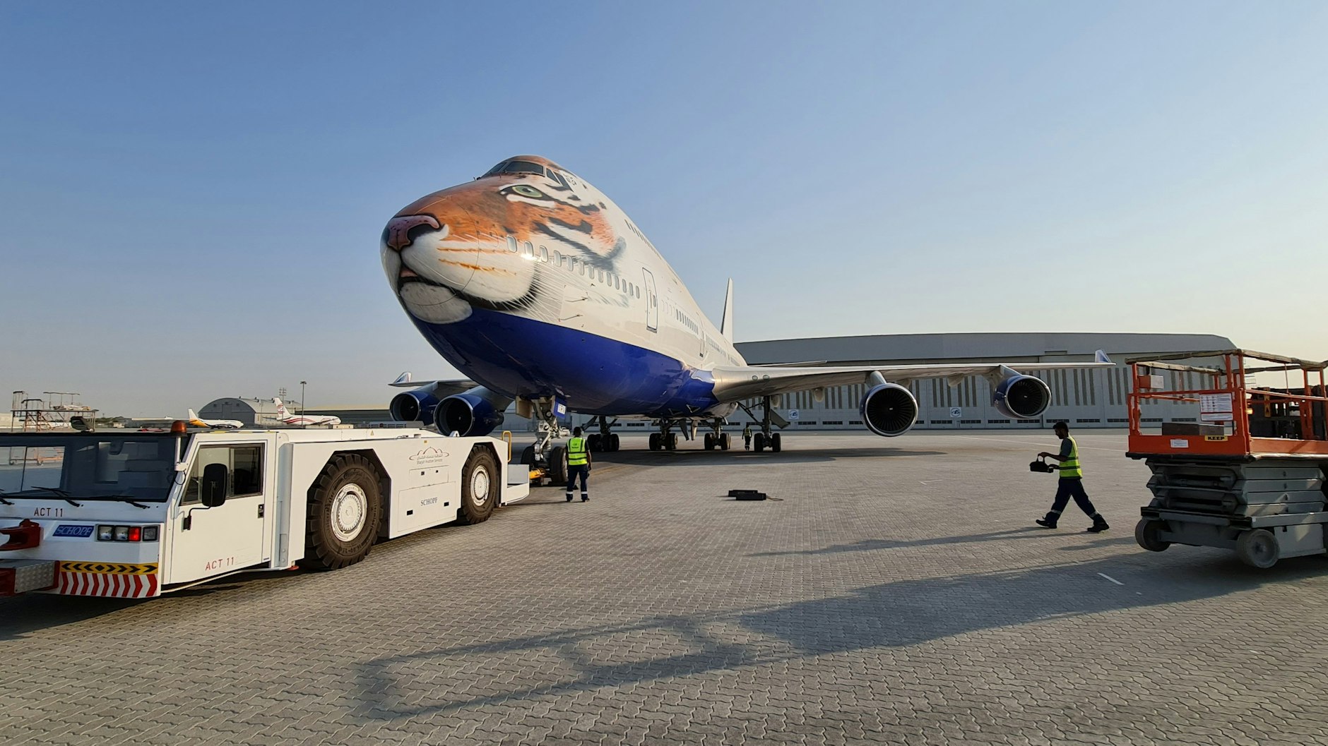 Das Flugzeug, das die Geparden von Namibia nach Indien bringen soll, steht auf einem Flughafen in den Vereinigten Arabischen Emiraten. 