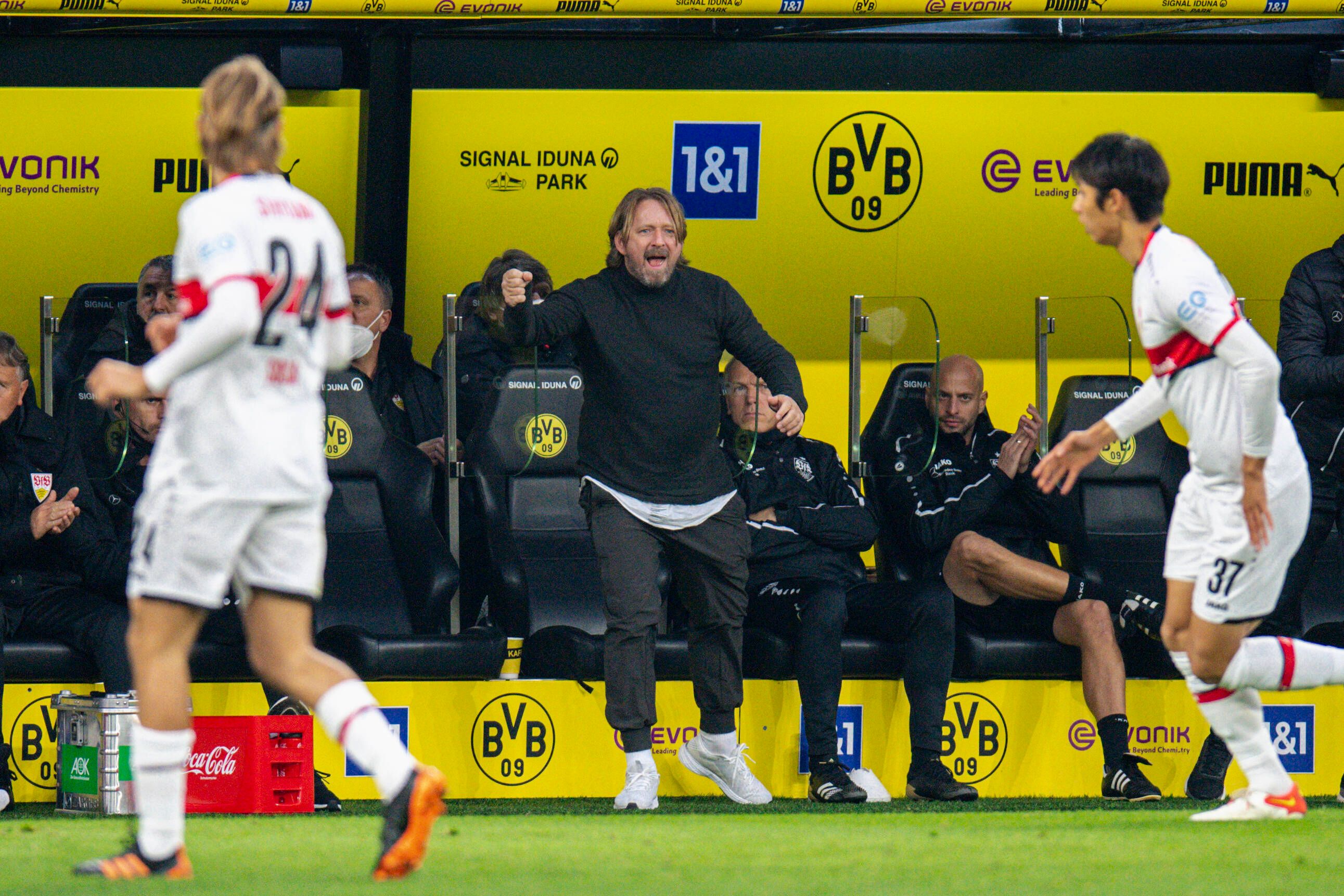 Image - Mega-Schnäppchen! VfB Stuttgart angelt sich BVB-Star zum Nulltarif
