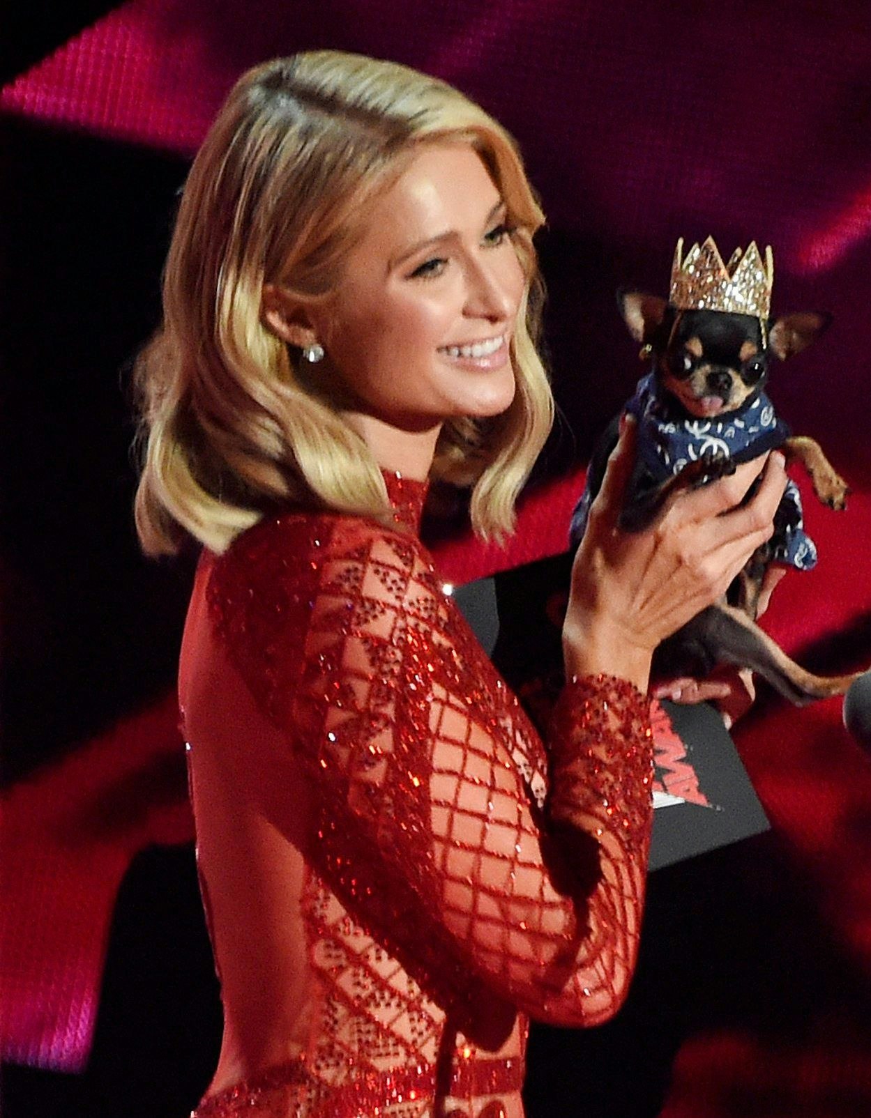 Hündchen suchte das Weite – Paris Hilton setzt auf Hightech bei der ...