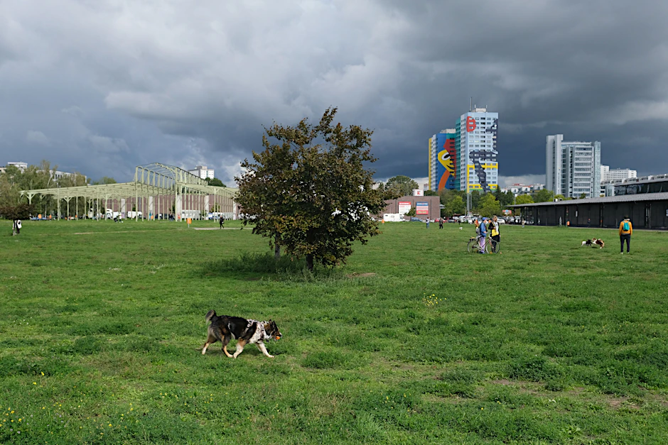 Berlin im späten September: Die Wiesen im Blankenstein-Park&nbsp;sind wieder grün. Vor zwei Monaten sah es anders aus.