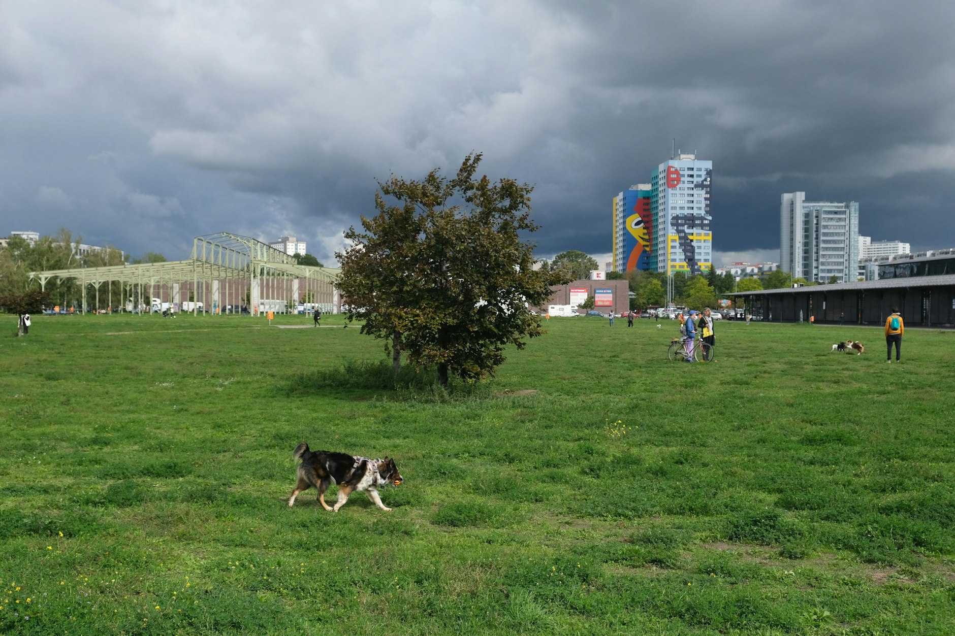 Berlin im späten September: Die Wiesen im Blankenstein-Park&nbsp;sind wieder grün. Vor zwei Monaten sah es anders aus.