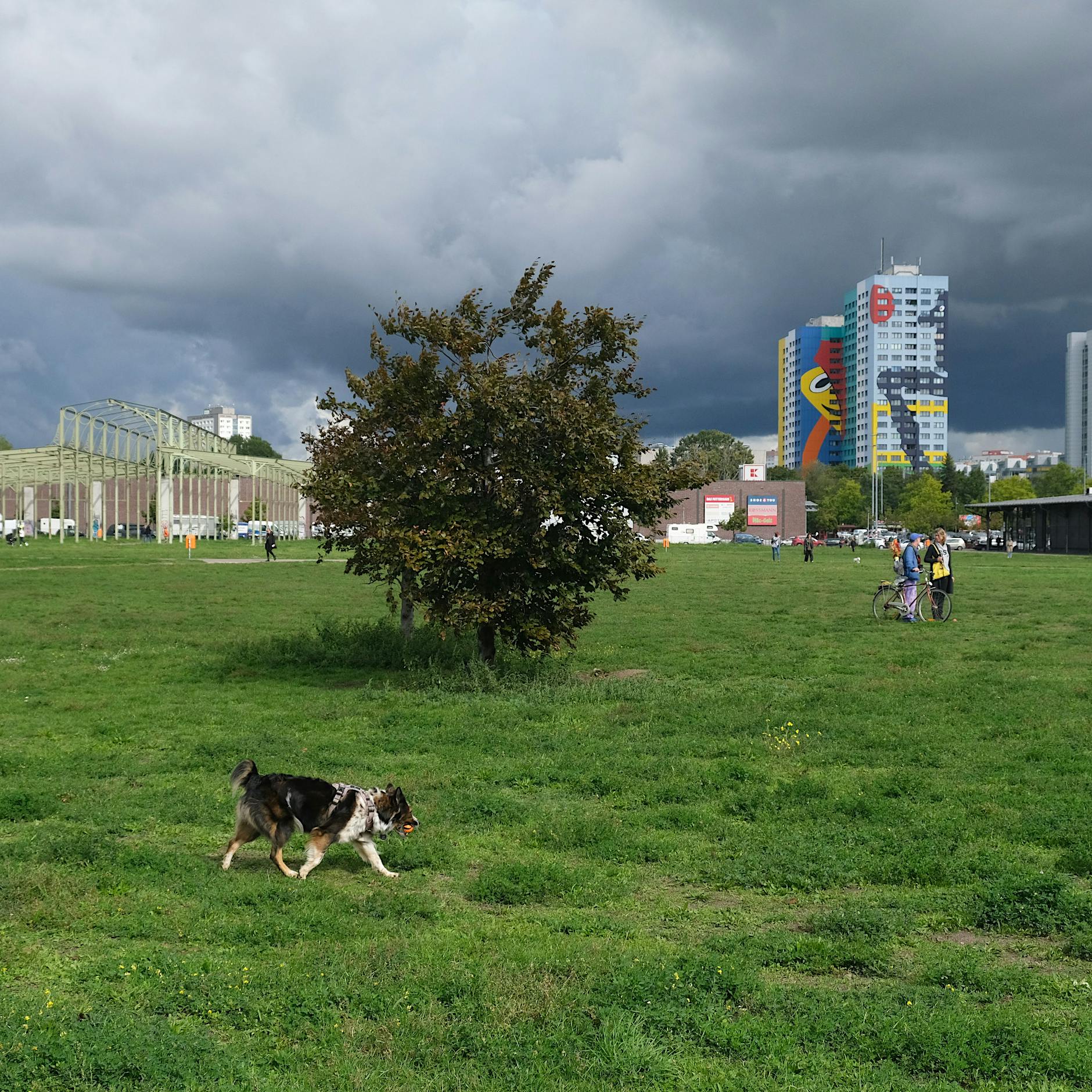 Irres Wetter in Berlin: Mit der plötzlichen Kälte kam der zweite Frühling