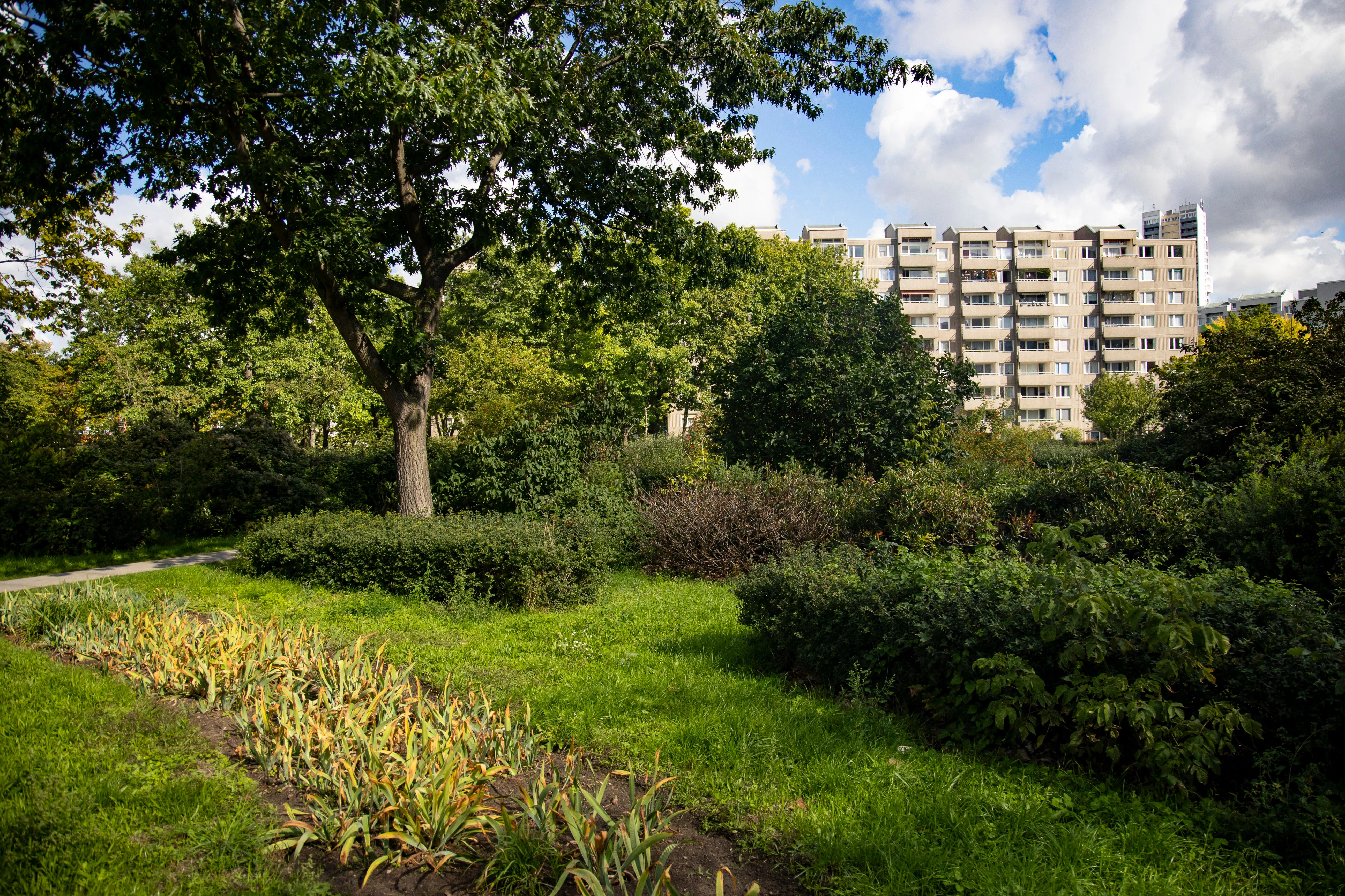 Hochhäuser am Rand vom Park am Vogelwäldchen.