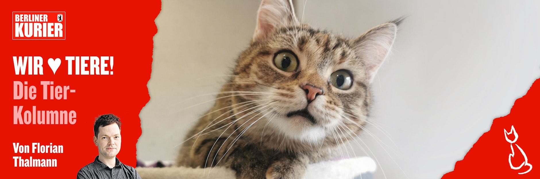 Mäuschen wartet im Tierheim Berlin sehnsüchtig auf ein neues Zuhause.