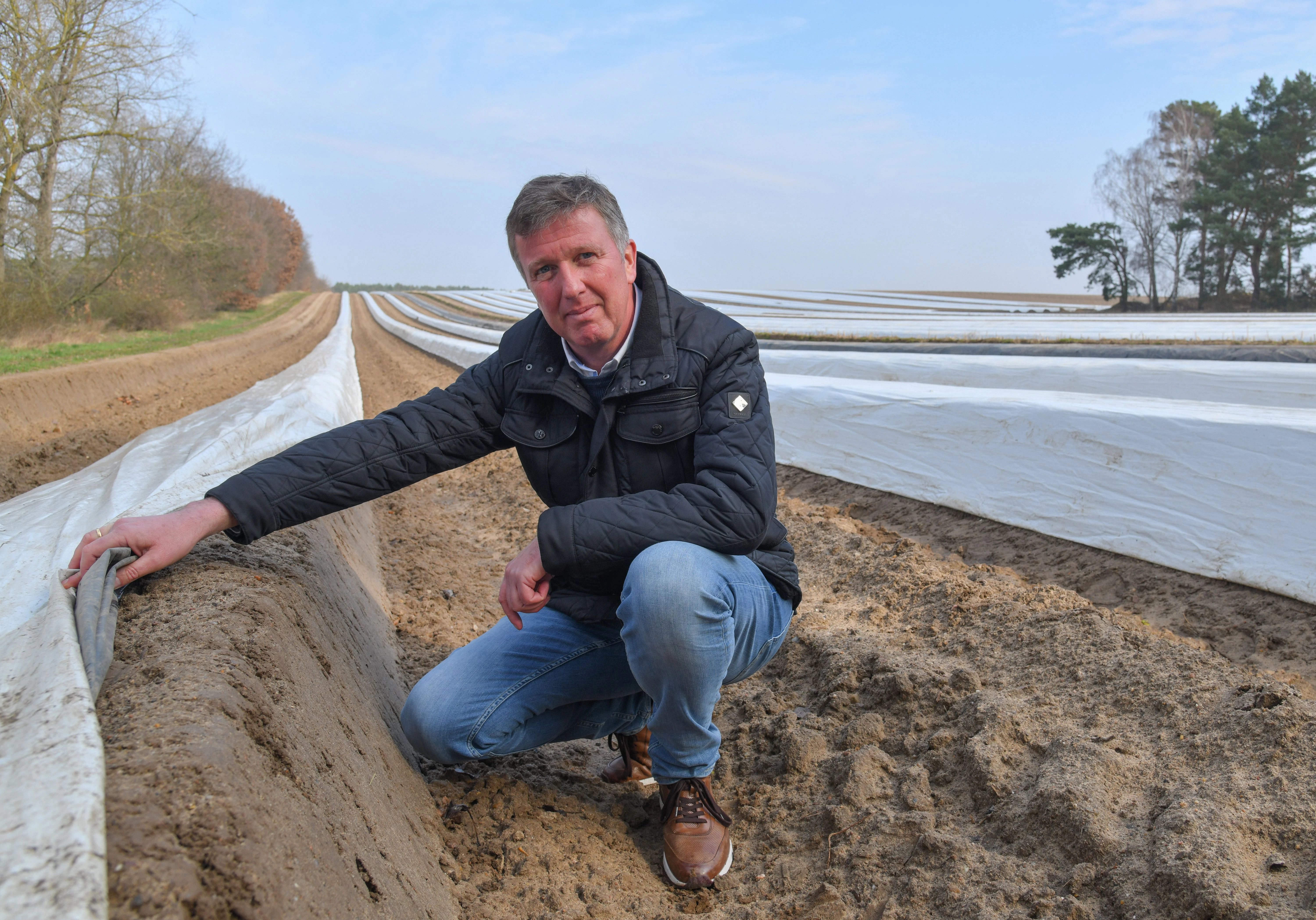 Rheinländer in Beelitz