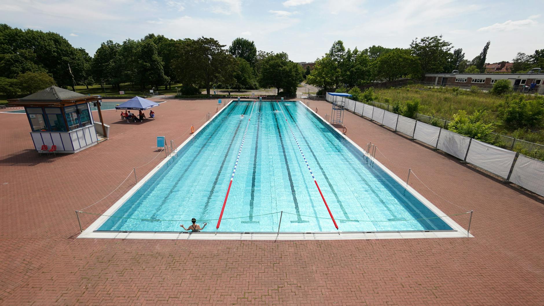 Die Sonnenstufen sind überwuchert. Zwei Mal im Jahr müssen Gärtner die Terrasse freischneiden. 