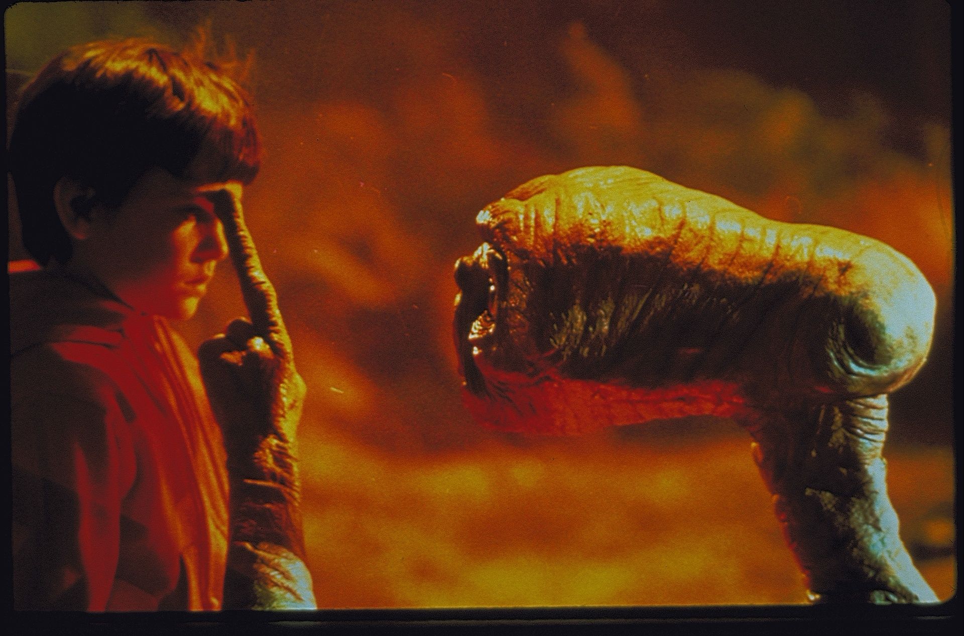 Image - „E.T.“ wird 40: „Nach Haus' telefonieren“ – ZDF-Neo zeigt den Blockbuster-Film heute Abend noch einmal