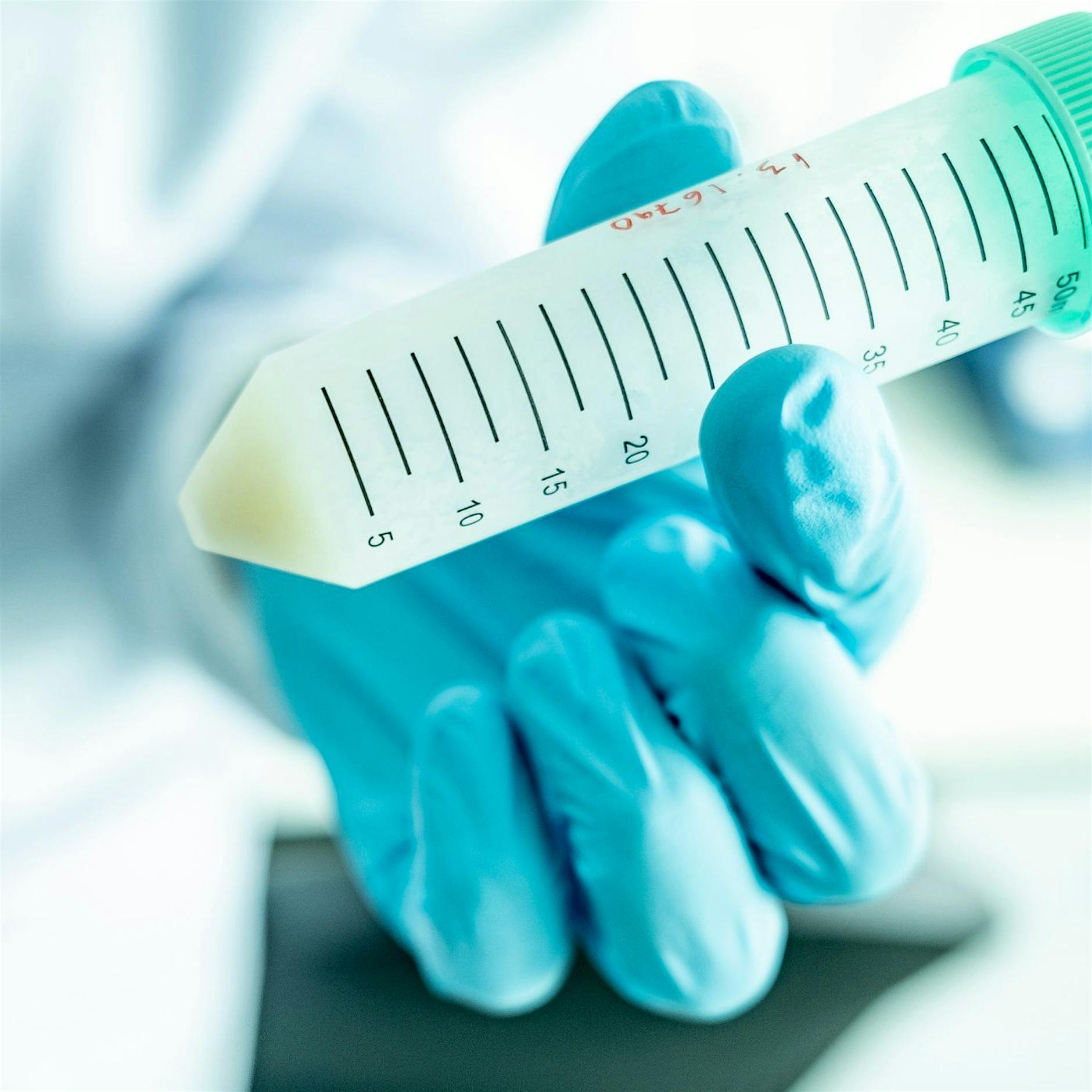 Forschende wollen Fischstäbchen aus Zellen herstellen