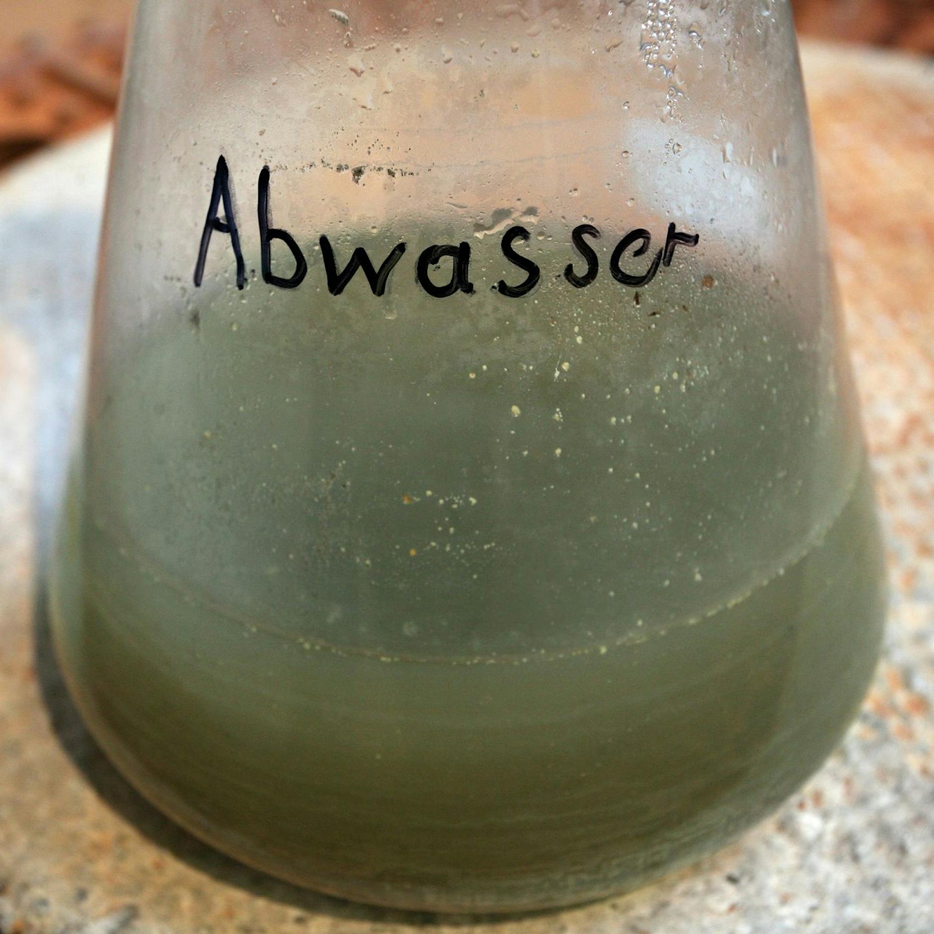 Oktoberfest-Abwasser wird auf Corona getestet