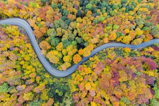 Geniales Herbst-Wissen: Warum werden eigentlich die Blätter bunt – hätten SIE es gewusst?