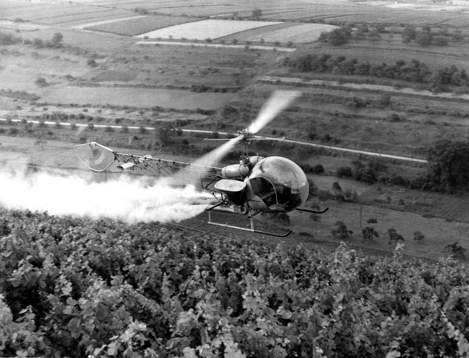 ARCHIV - Gift aus feinen Düsen: Alte Fotos aus den 1950er Jahren zeigen Helikopter, die E 605 großflächig über rheinischen Weinbergen versprühen.