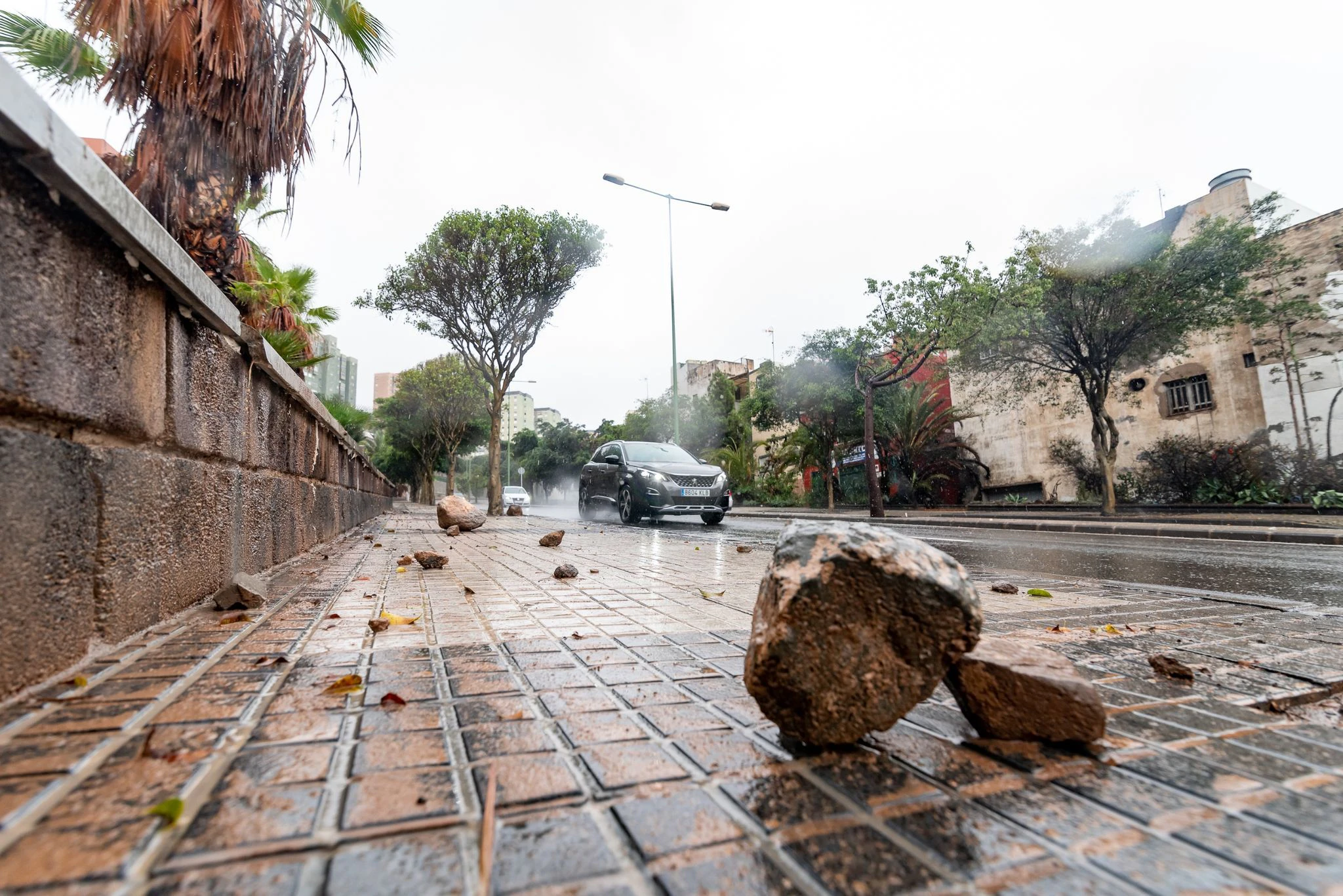 Auf der Insel La Palma wurden nach Angaben der Behörden bis zu 220 Liter pro Quadratmeter binnen 24 Stunden gemessen.  