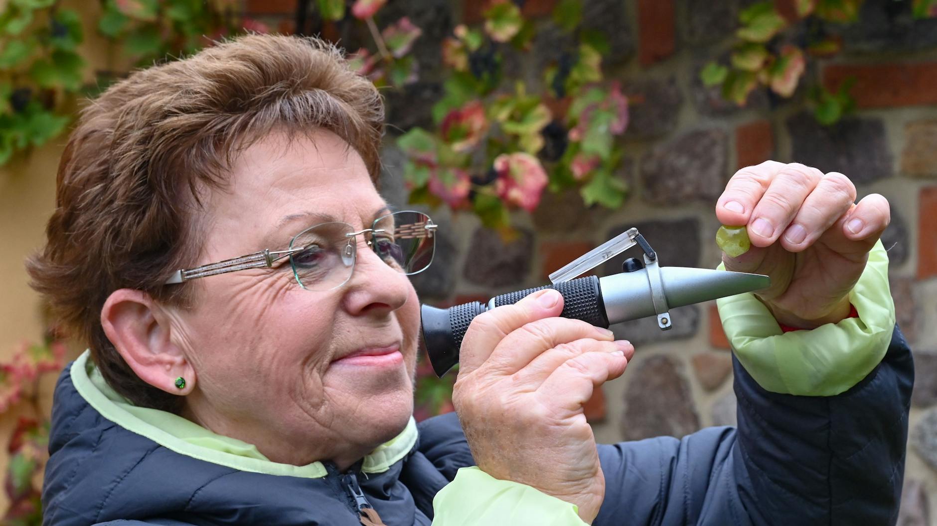 Cornelia Schwarz, Chefin vom Kloster-Winzer e. V., benutzt ein Refraktometer zur Bestimmung des Zuckergehalts der Trauben.