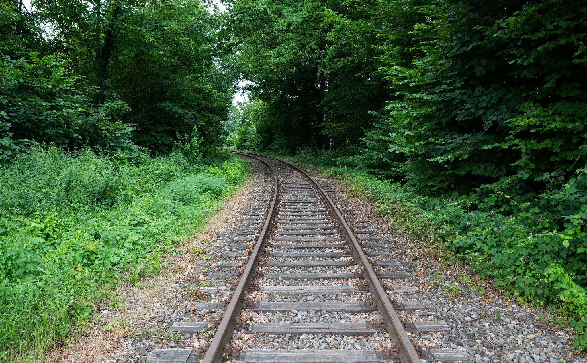 Bahnstrecken Reaktivieren - Warum Dauert Es So Lange?