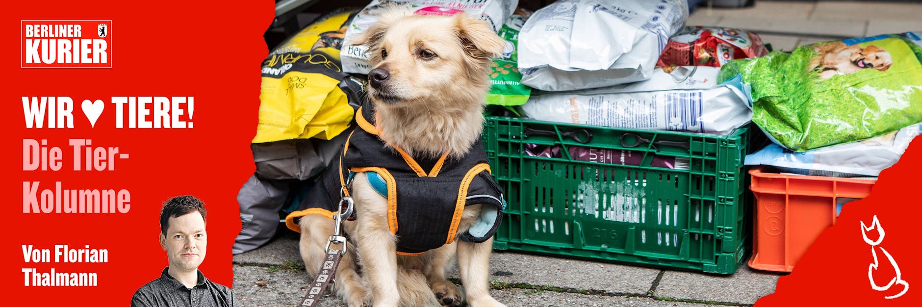 Die Tiertafeln versorgen Haustierhalter, bei denen das Geld nicht reicht, mit Futter und anderen Dingen.