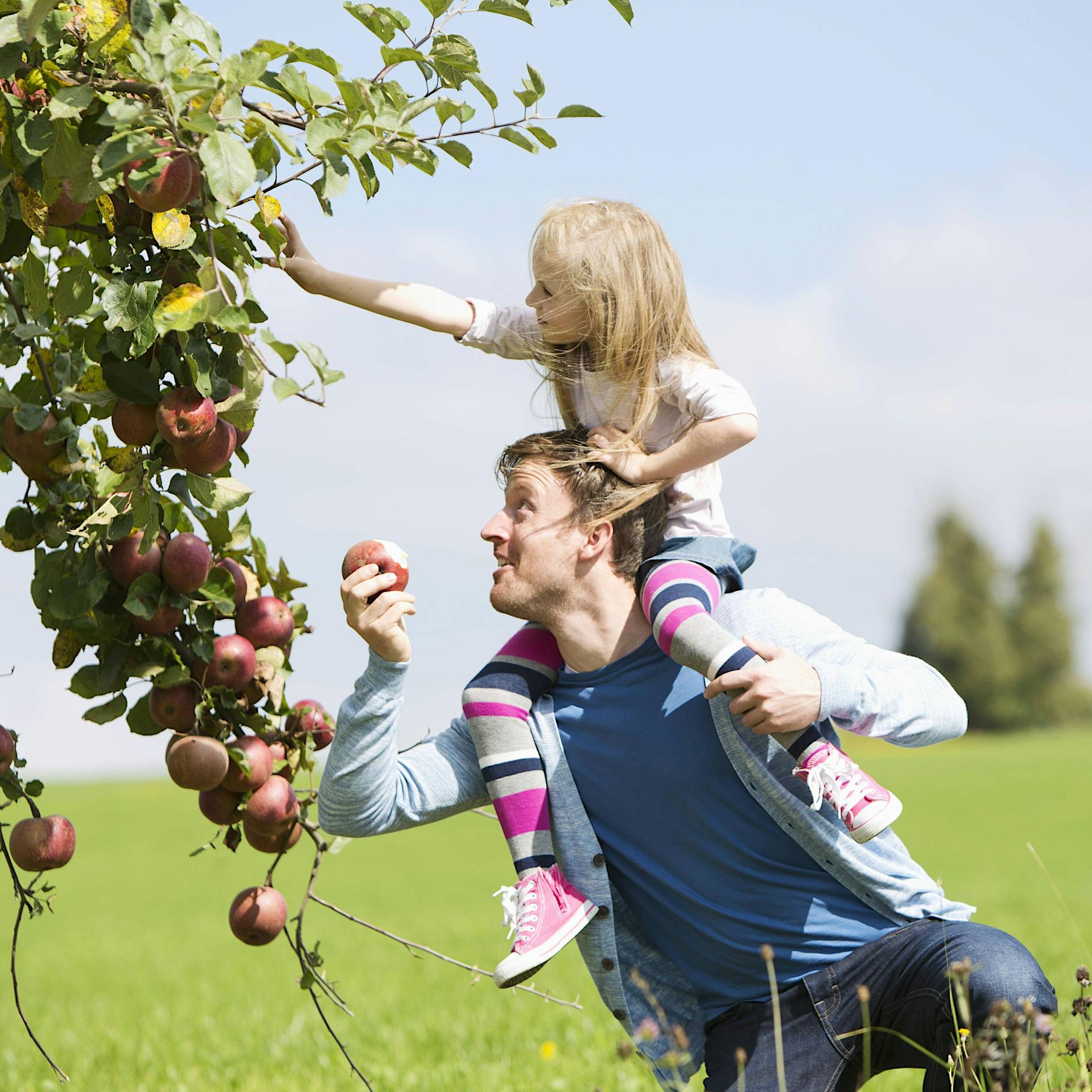 Frisches Obst zum Weltuntergang – eine aufschlussreiche Fahrt zur Apfelplantage